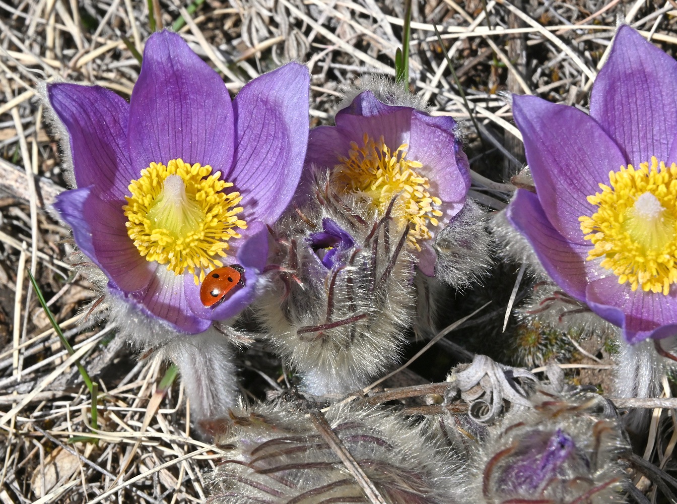 DSC_0150.jpg