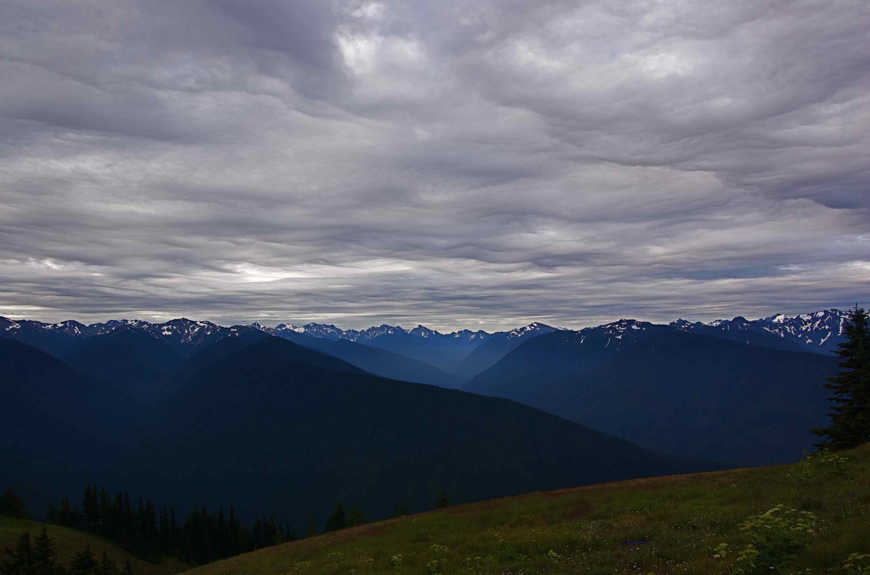 DSC_0176.jpg