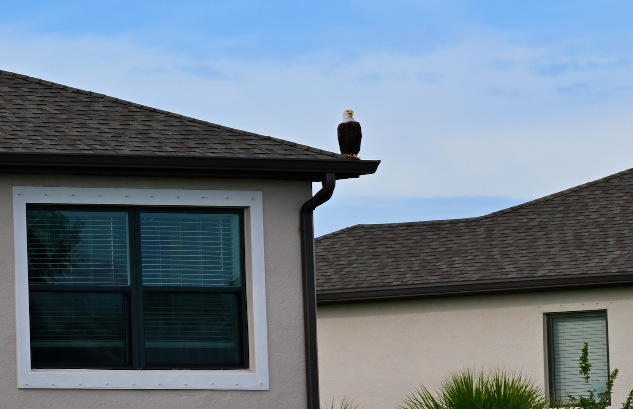 DSC_0182.jpeg