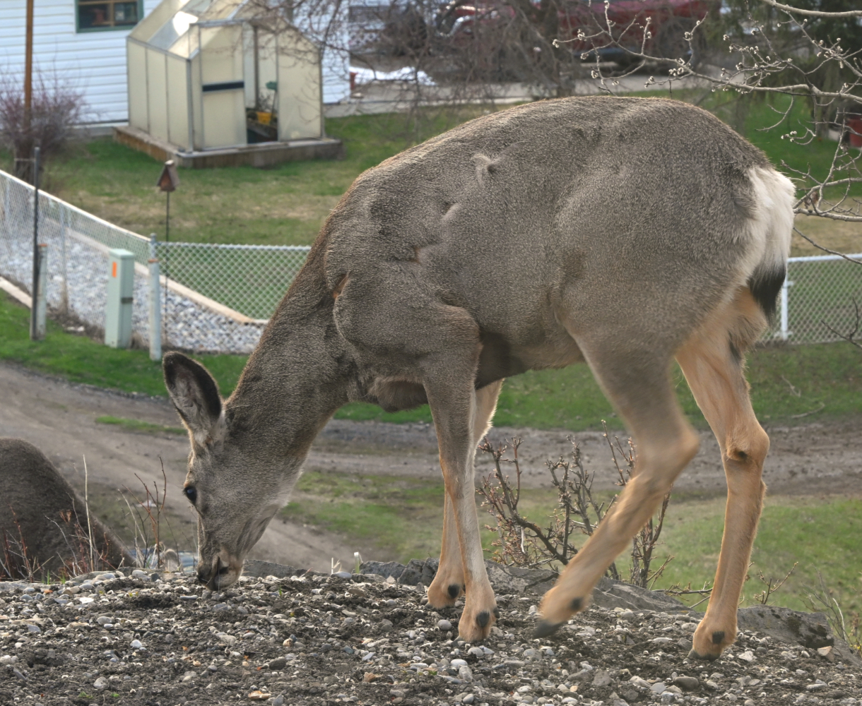 DSC_0186.jpg