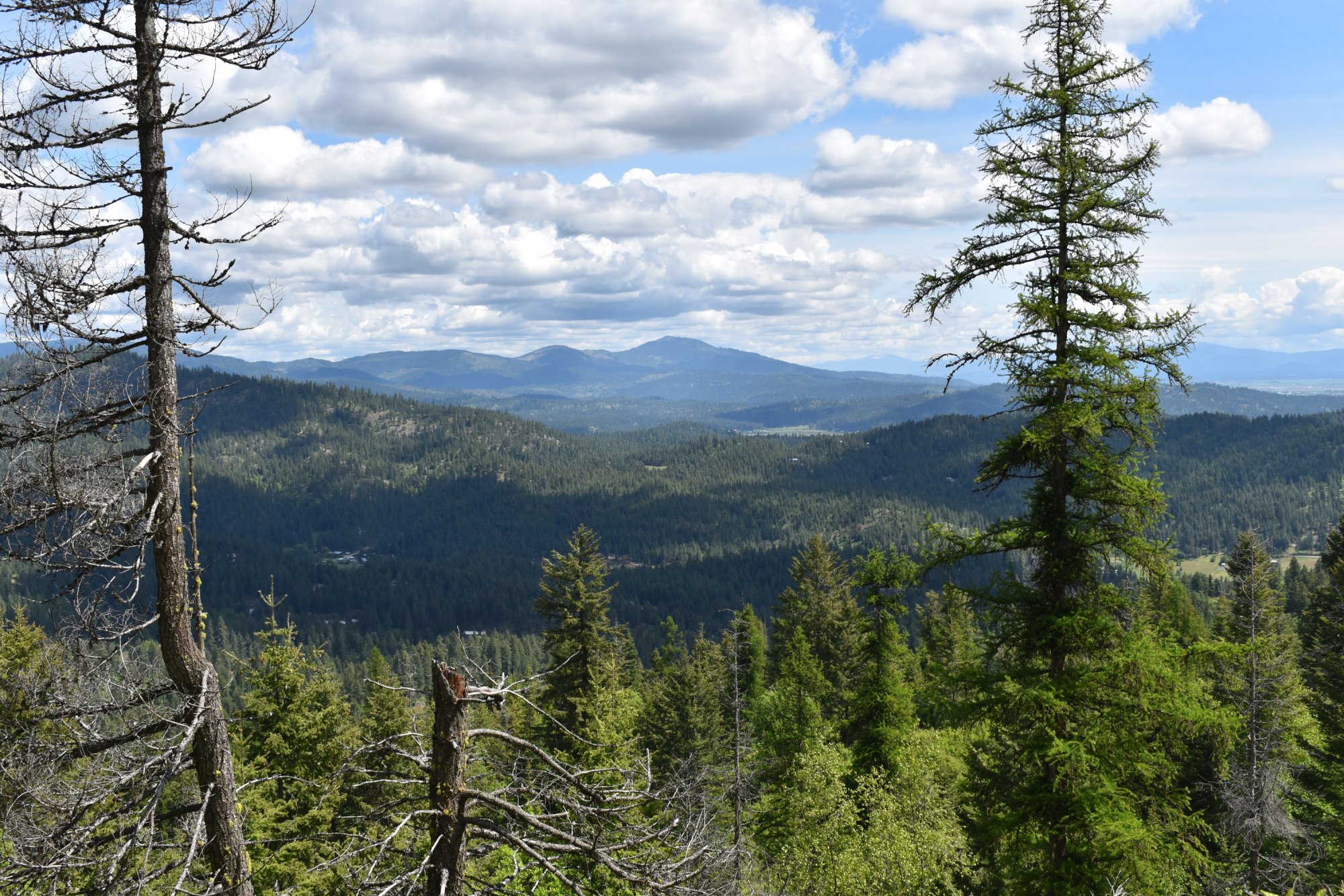 DSC_0188.jpg