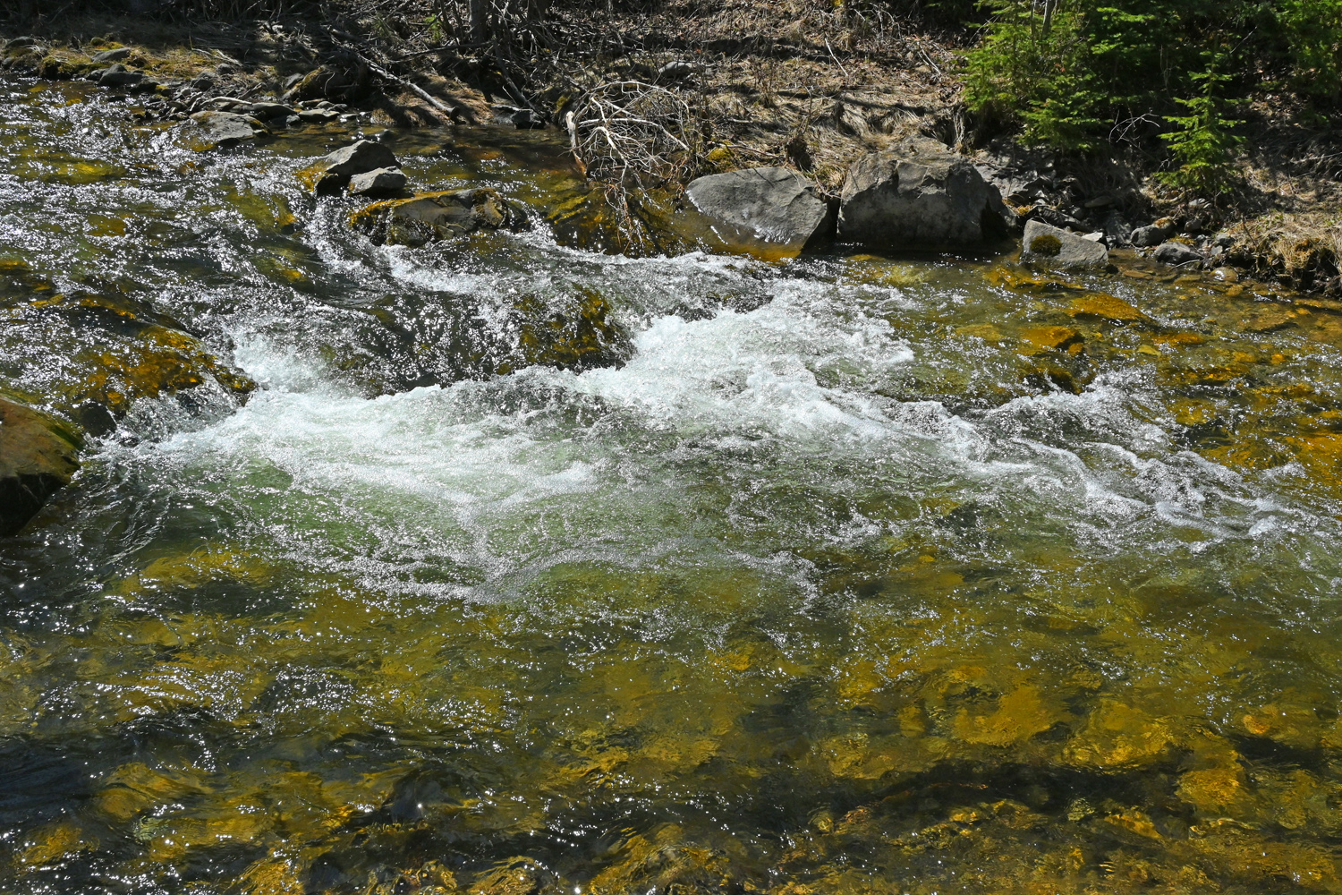 DSC_0190.jpg