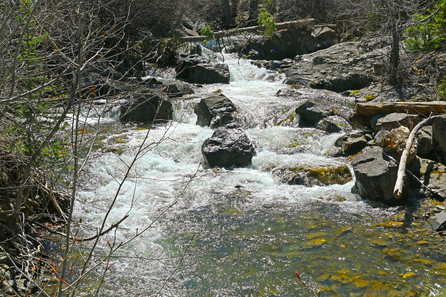 DSC_0191.jpg