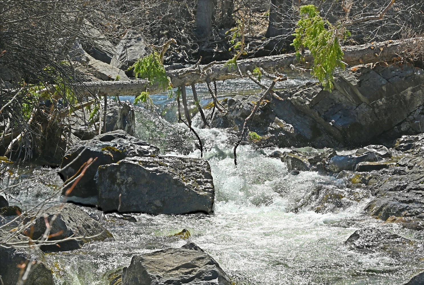 DSC_0199A.jpg