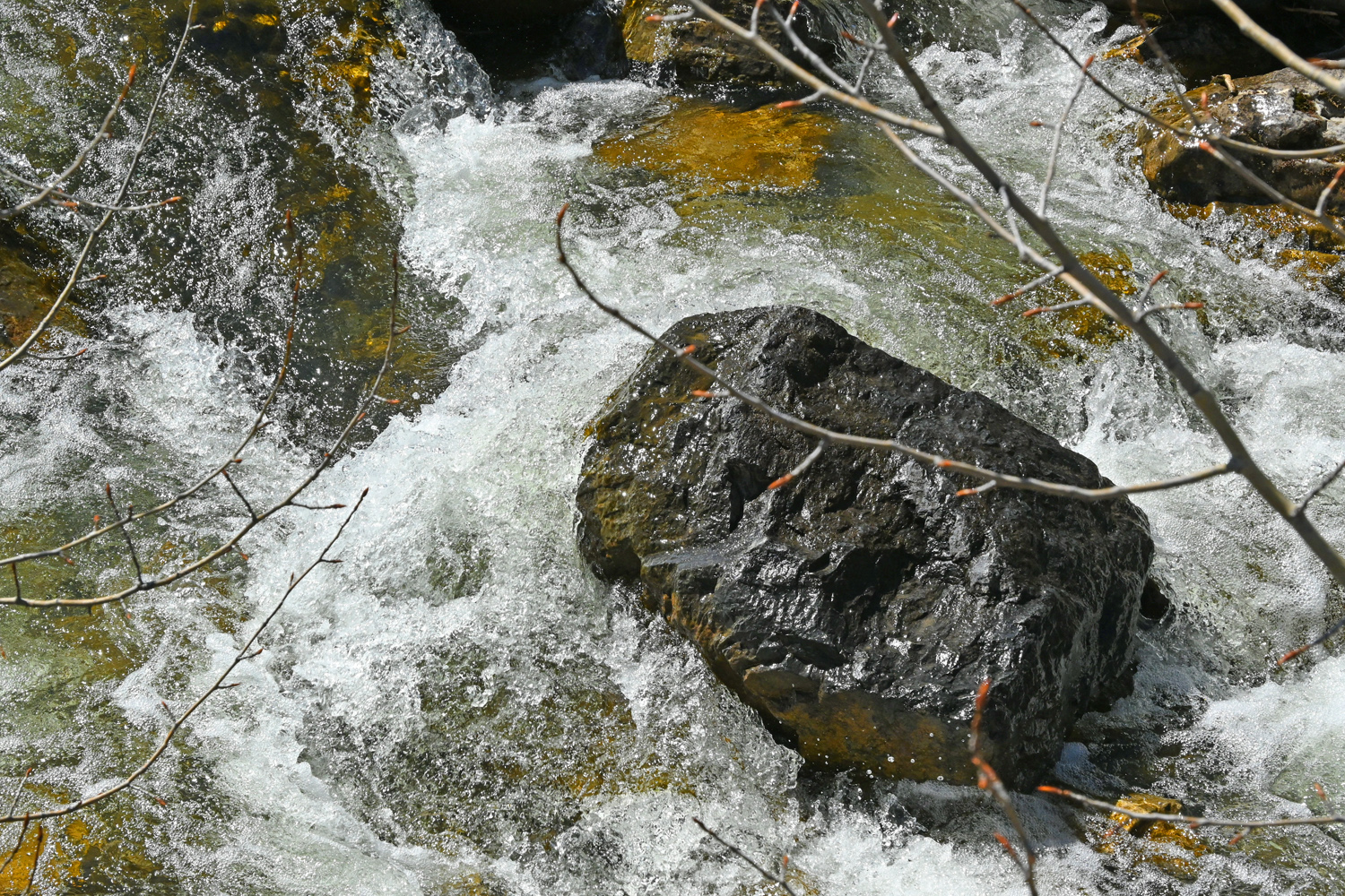 DSC_0202.jpg