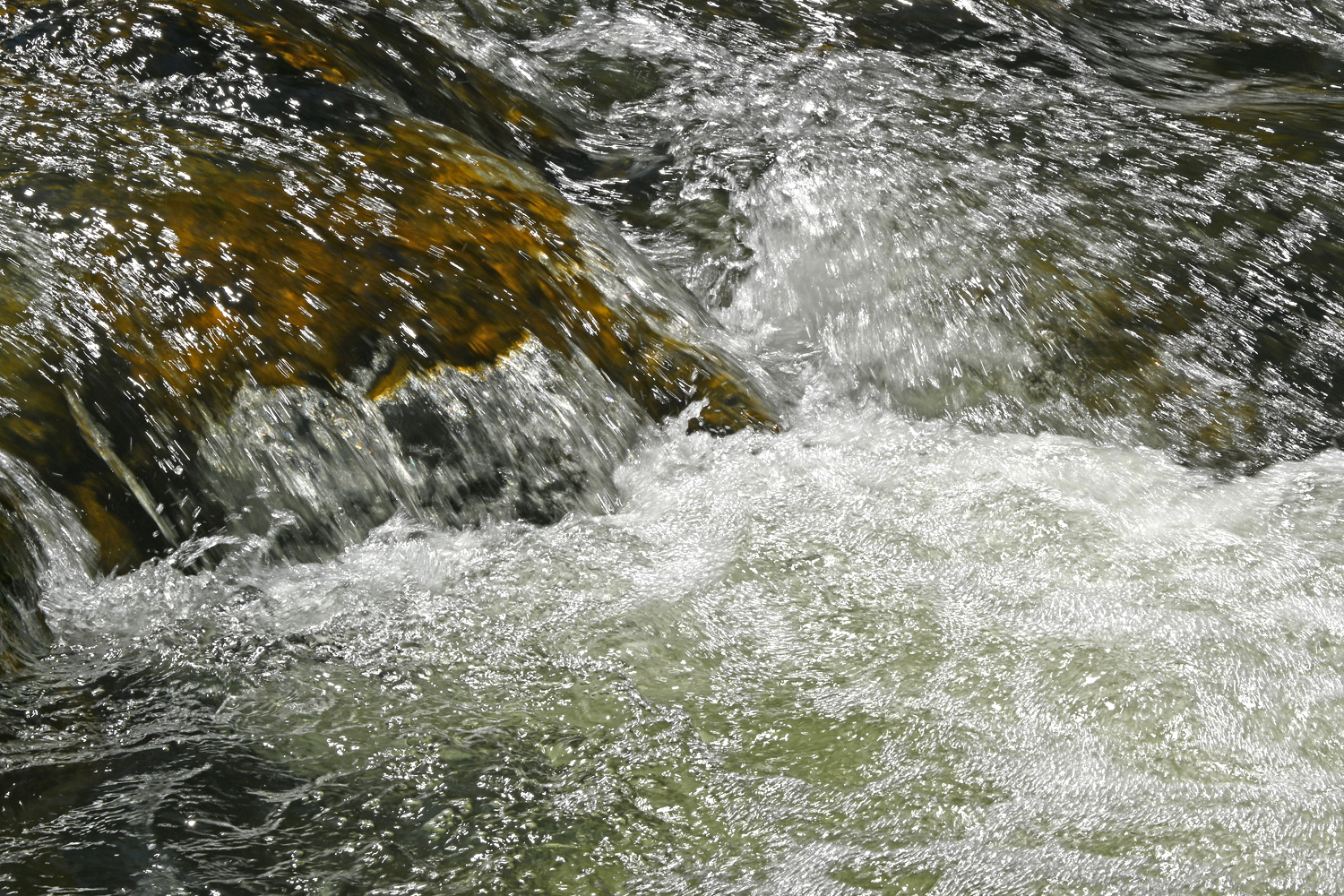 DSC_0205.jpg