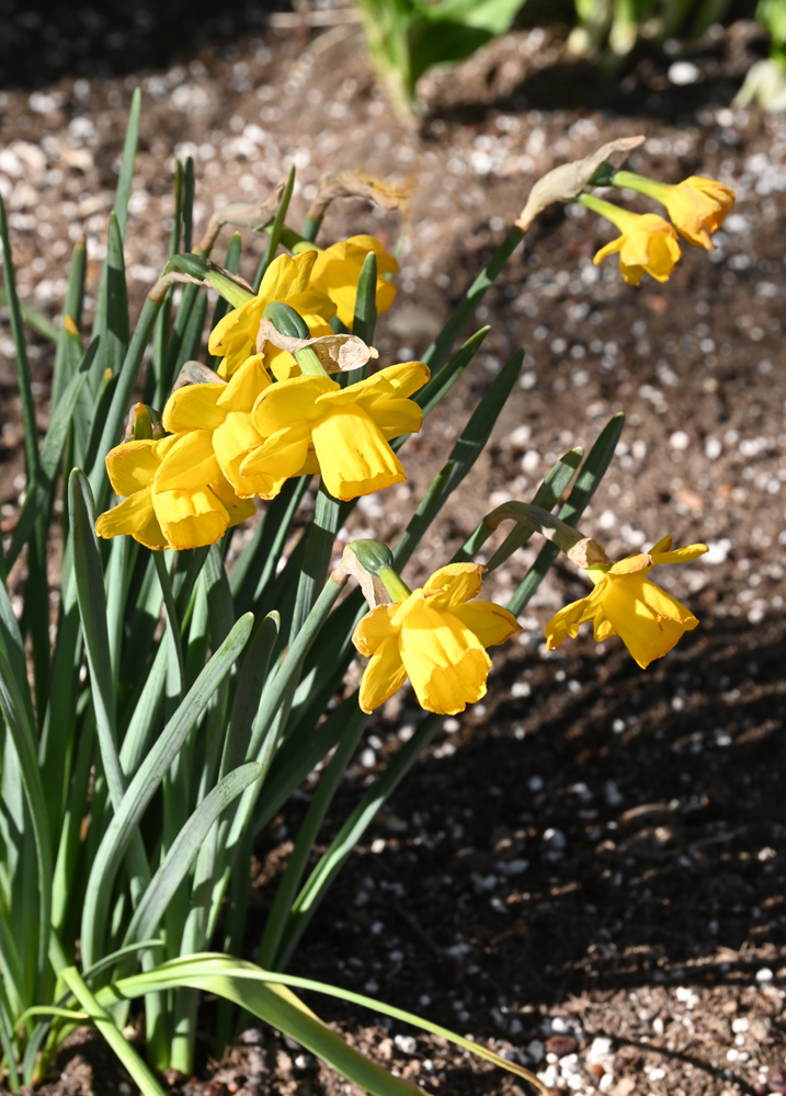 DSC_0214.jpg
