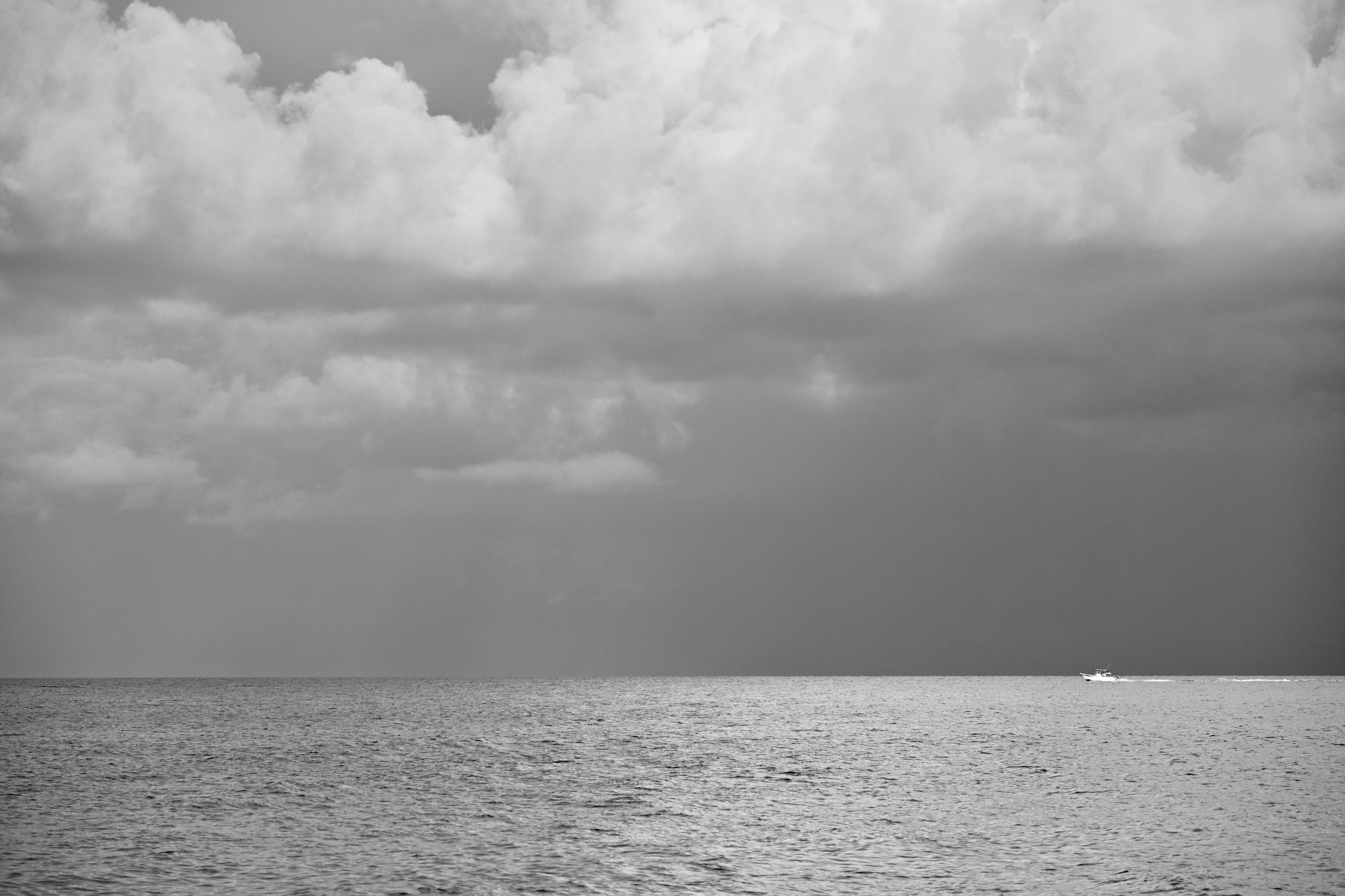 DSC_0264.jpeg