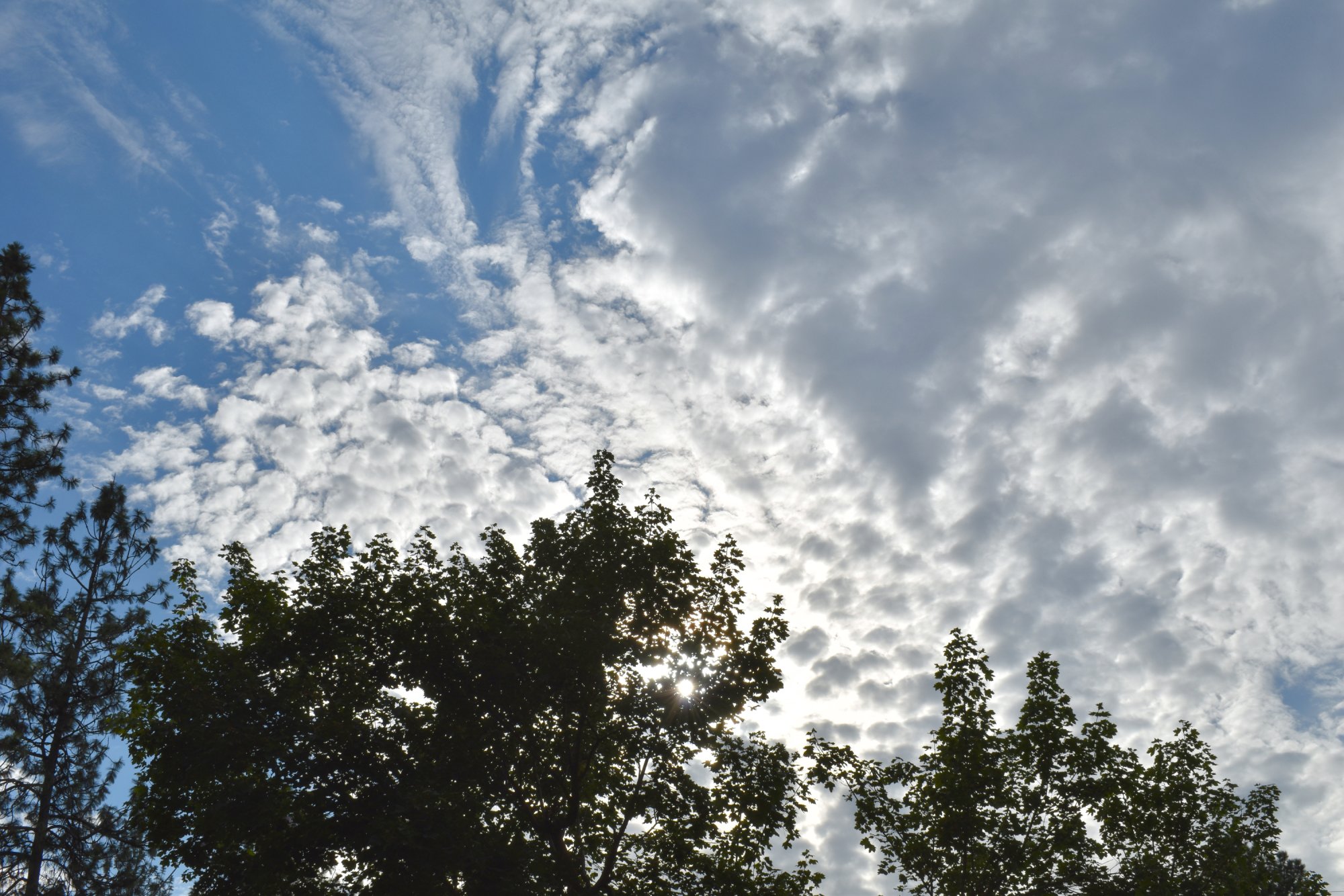 DSC_0265.jpg
