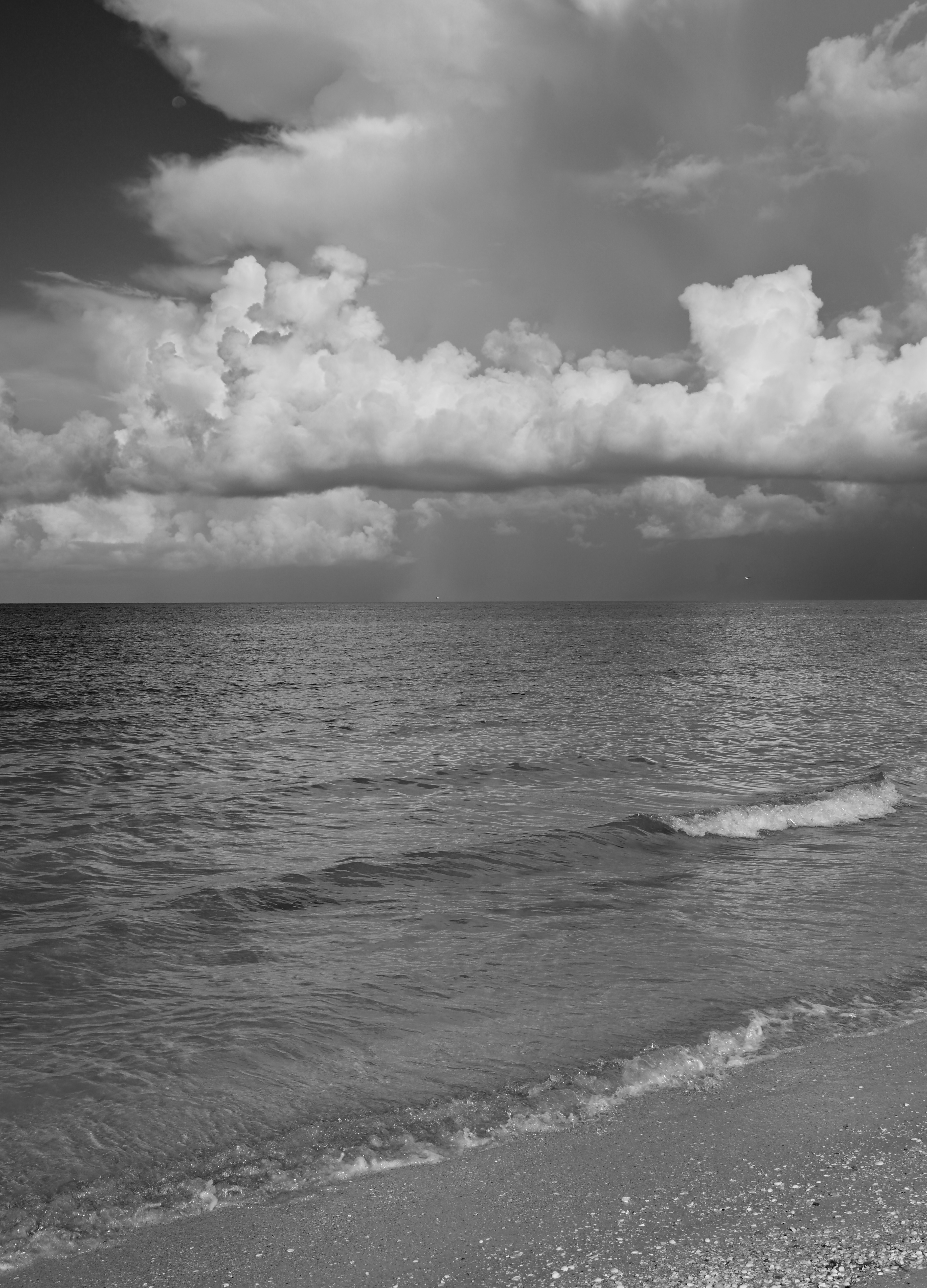 DSC_0266.jpeg