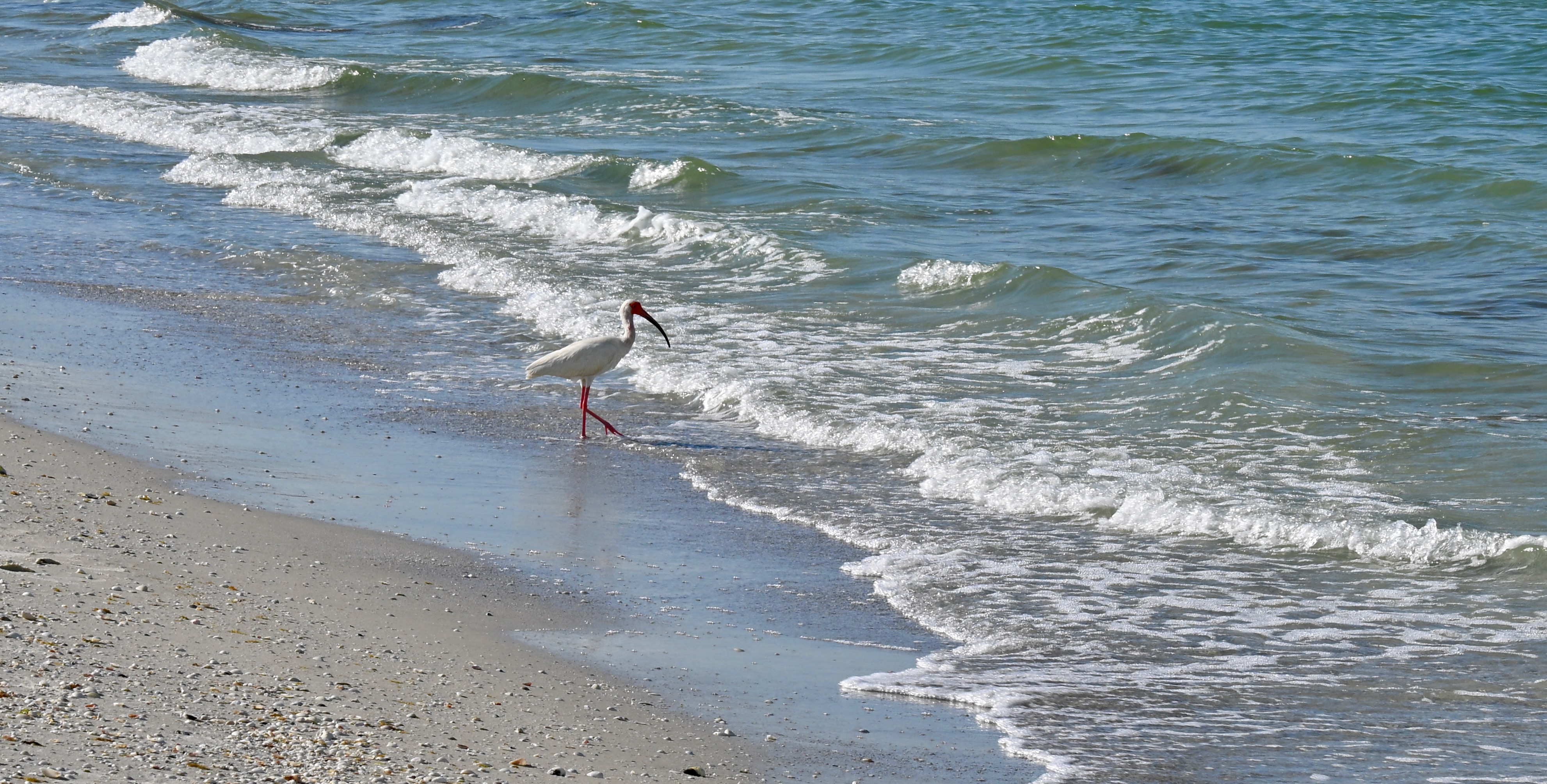 DSC_0268.jpeg