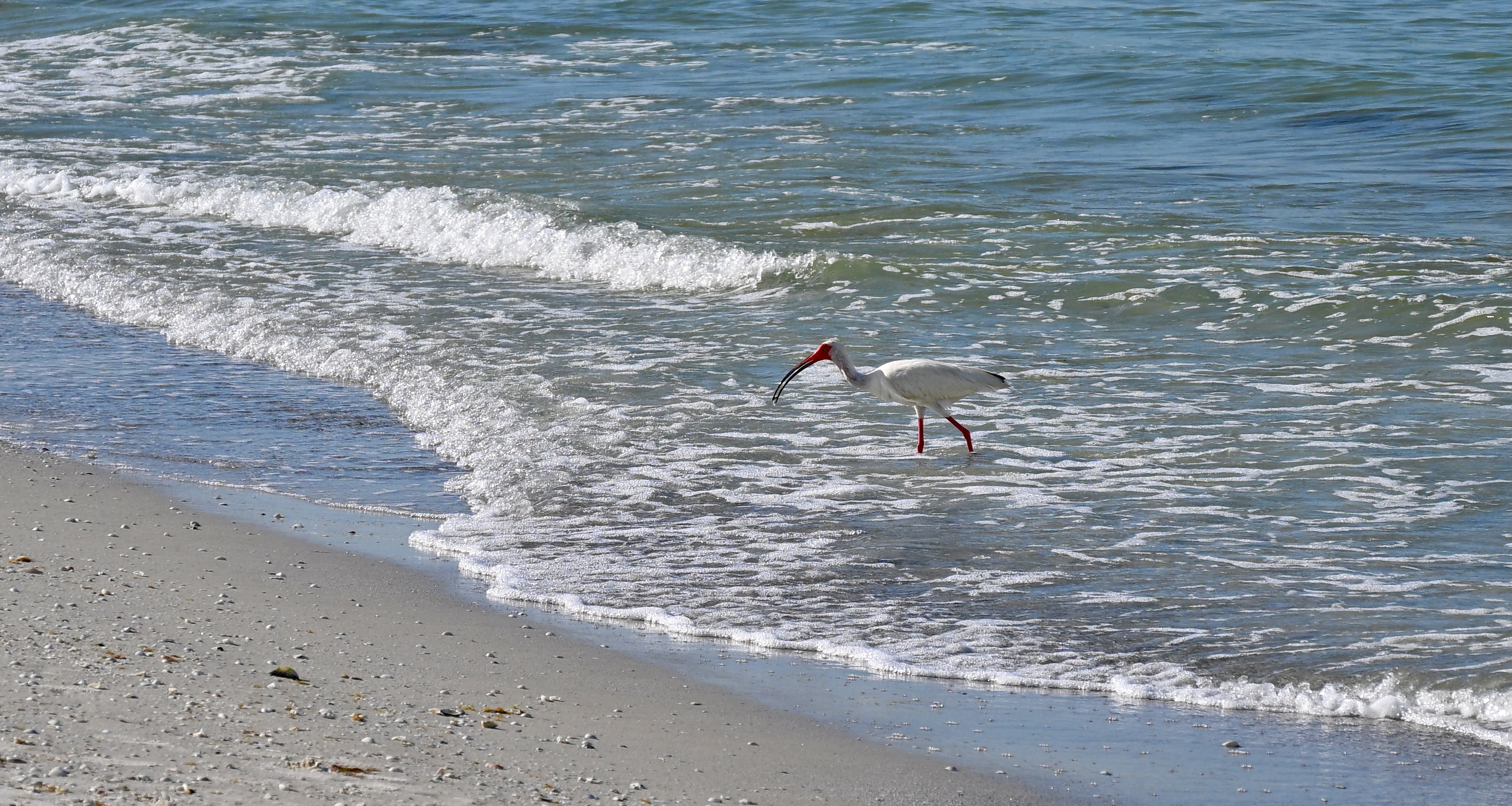 DSC_0277.jpeg