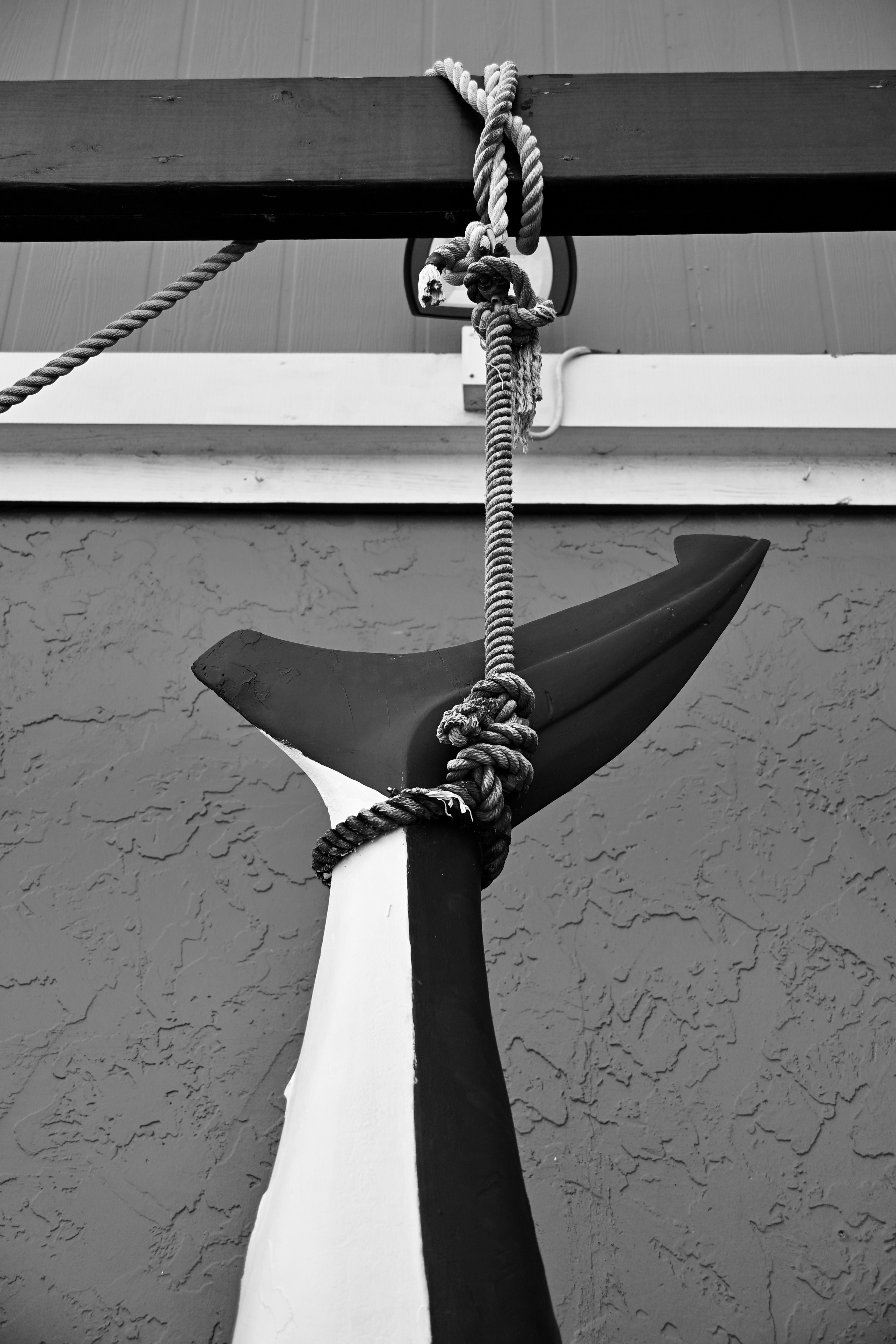 DSC_0315.jpeg
