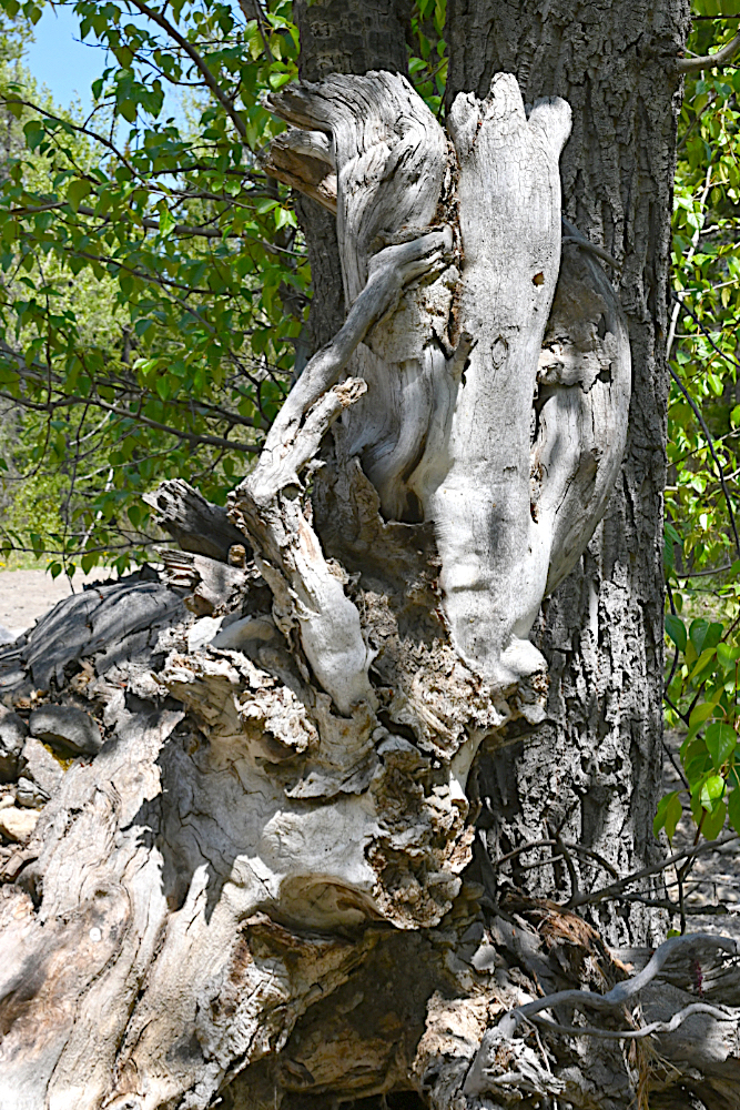 DSC_0355.jpg