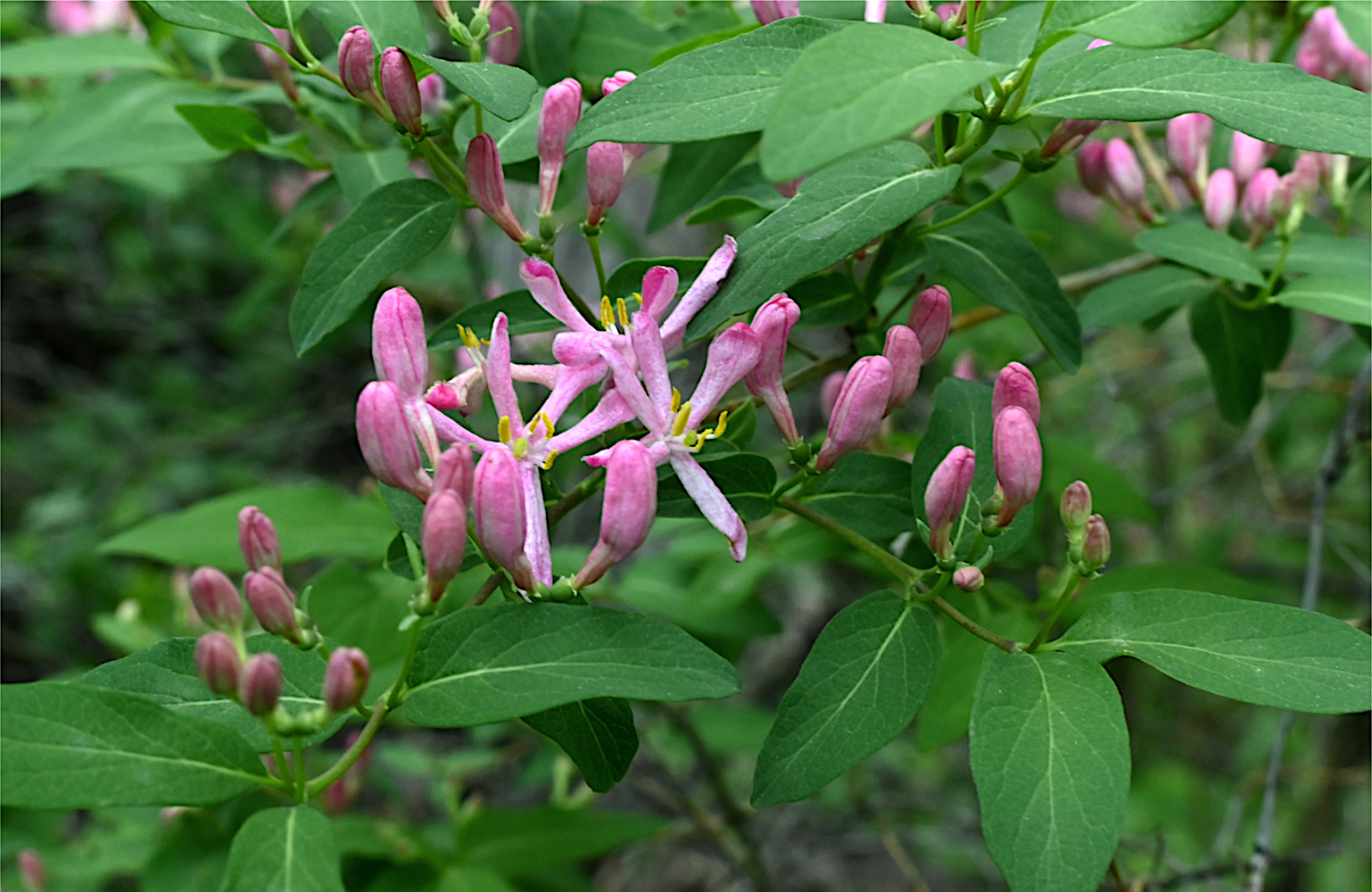DSC_0361.jpg