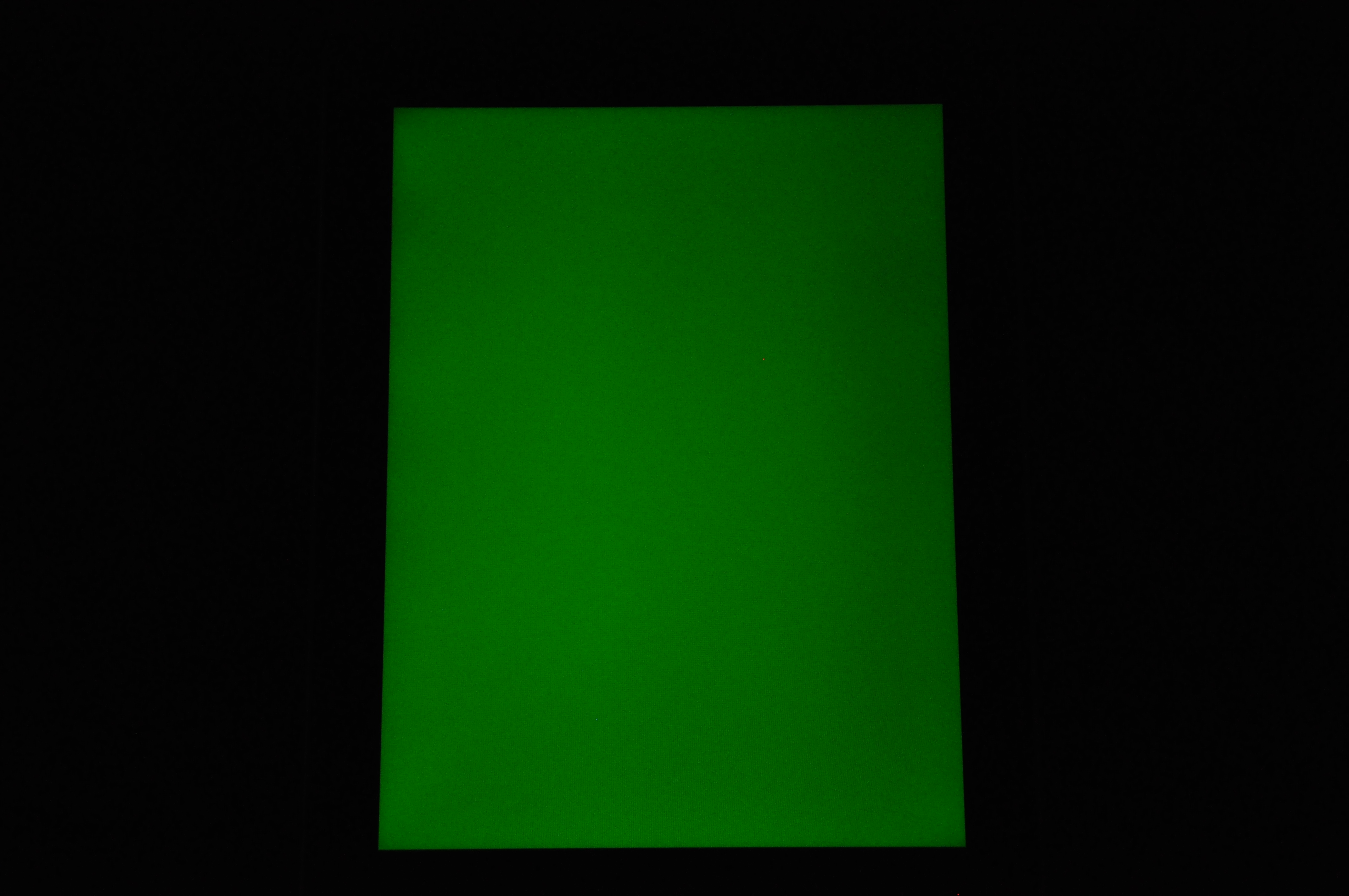DSC_0368.JPG