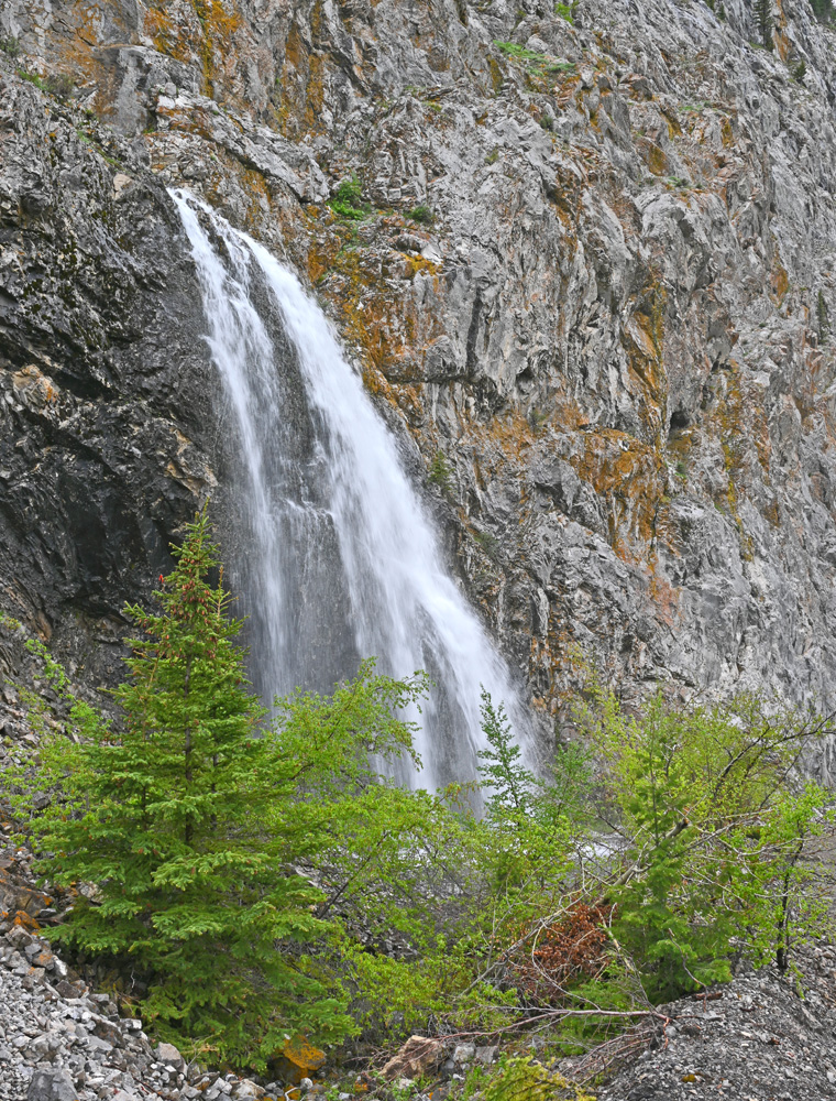 DSC_0388.jpg