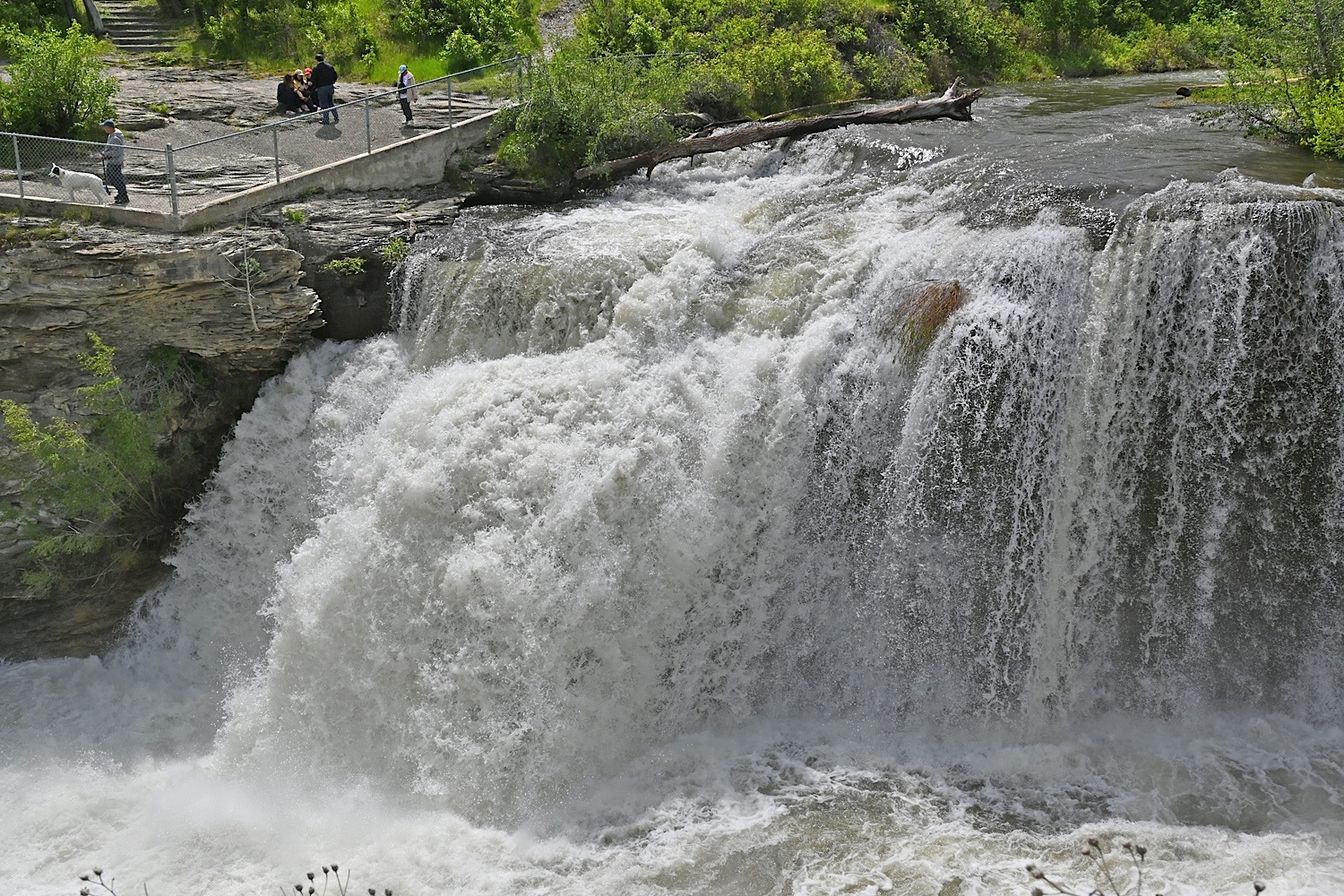 DSC_0394.jpg