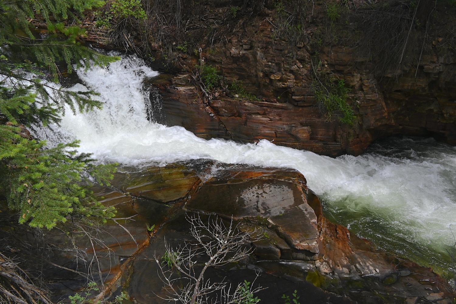 DSC_0450As.jpg
