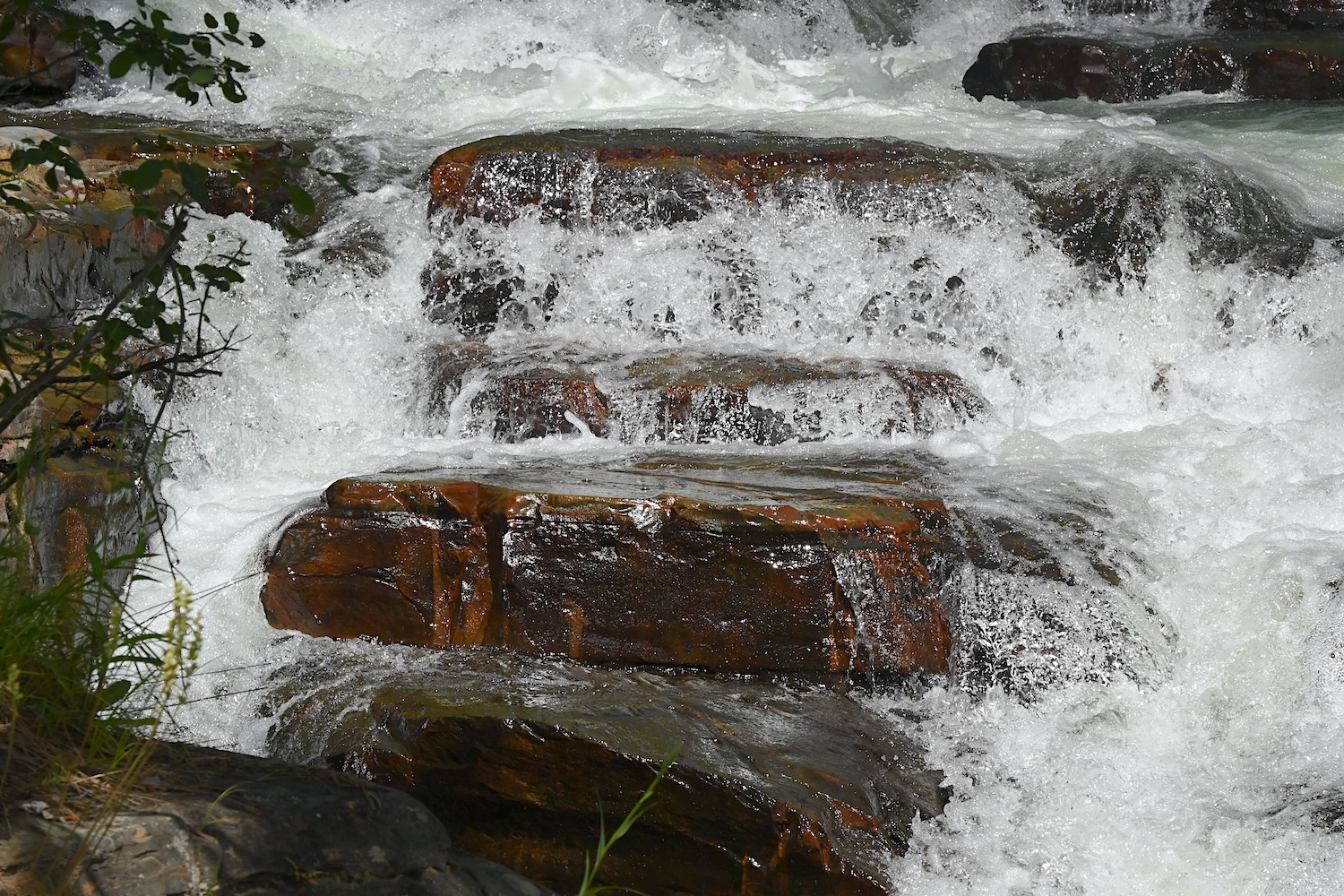 DSC_0461as.jpg