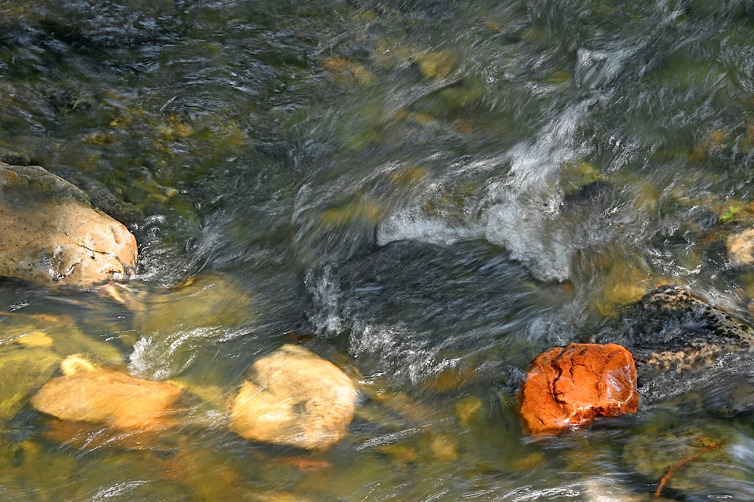 DSC_0494.jpg