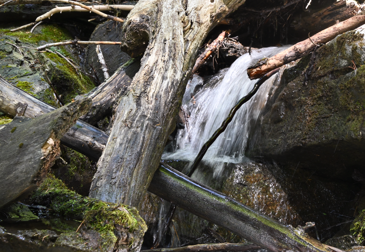 DSC_0502.jpg
