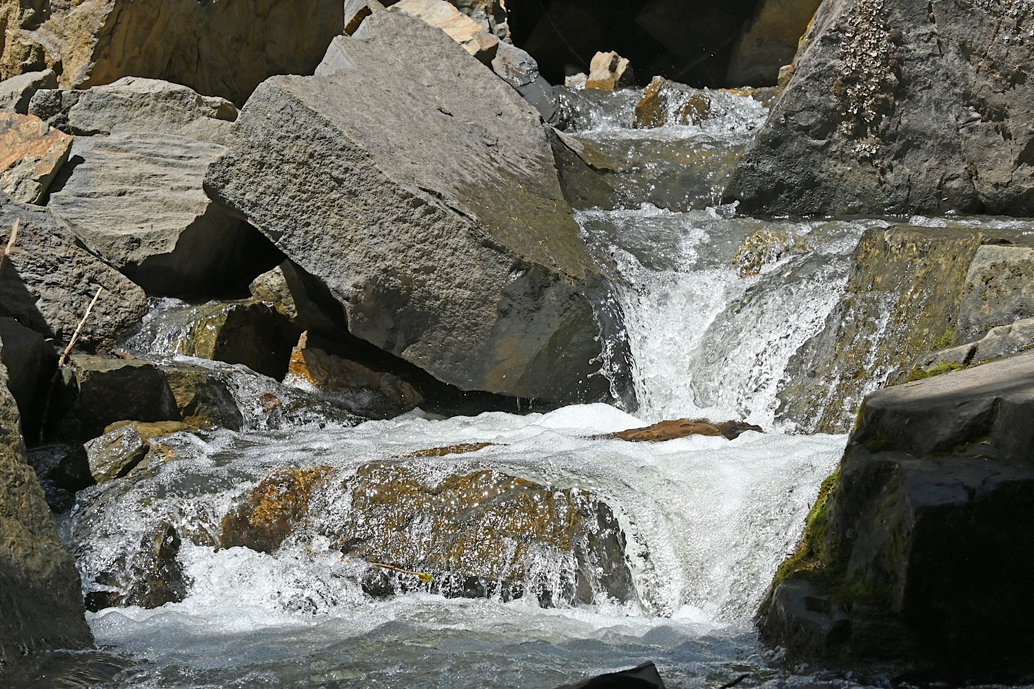 DSC_0512.jpg