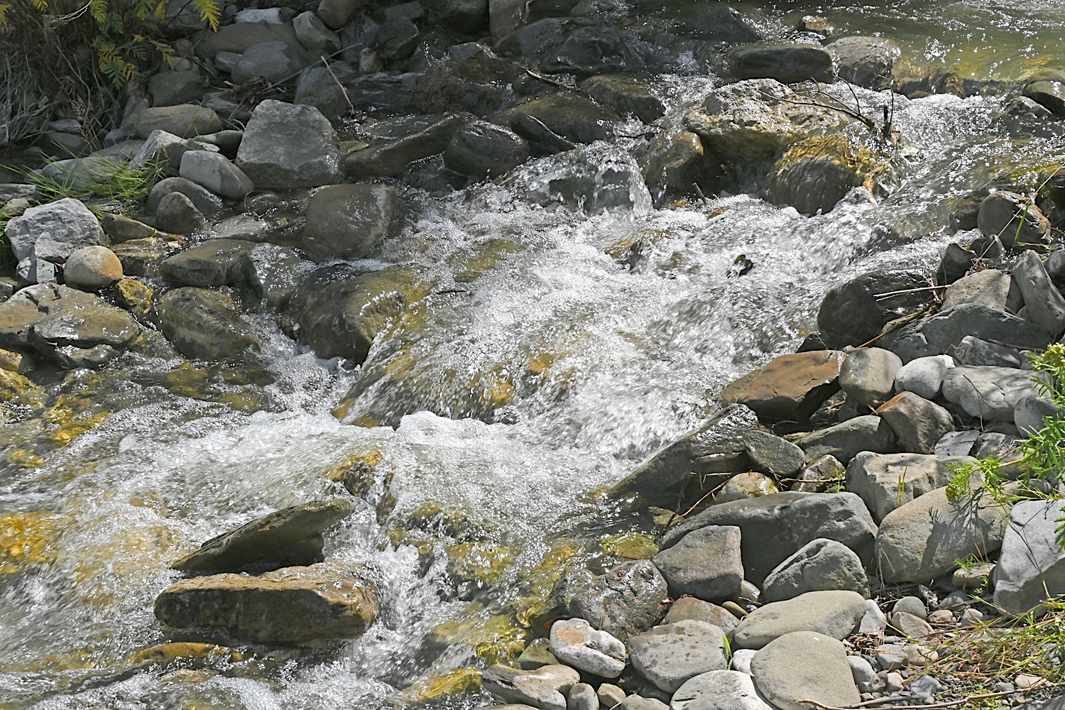 DSC_0538B.jpg