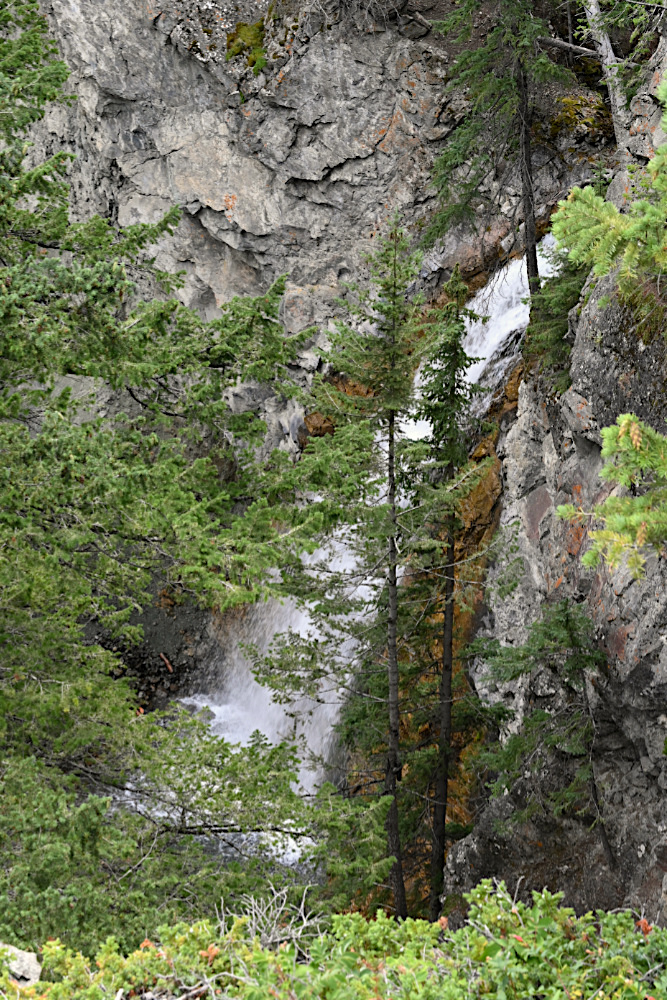 DSC_0571.jpg
