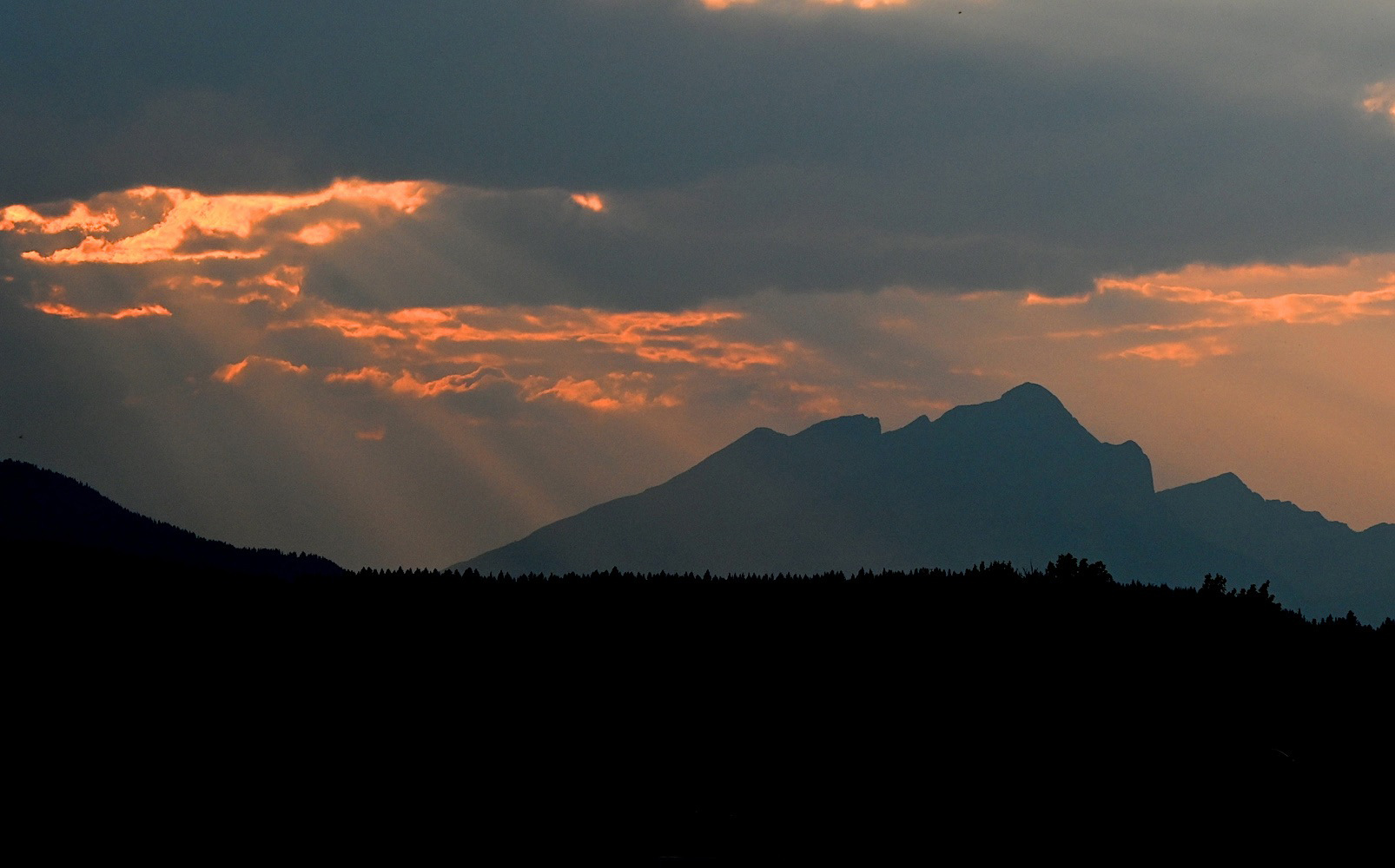 DSC_0604.jpg