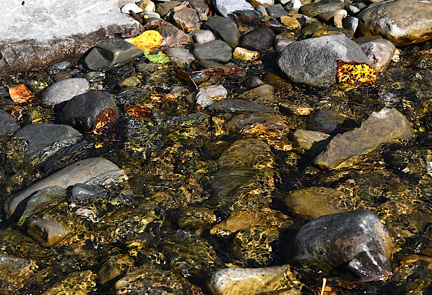 DSC_0722A.jpg