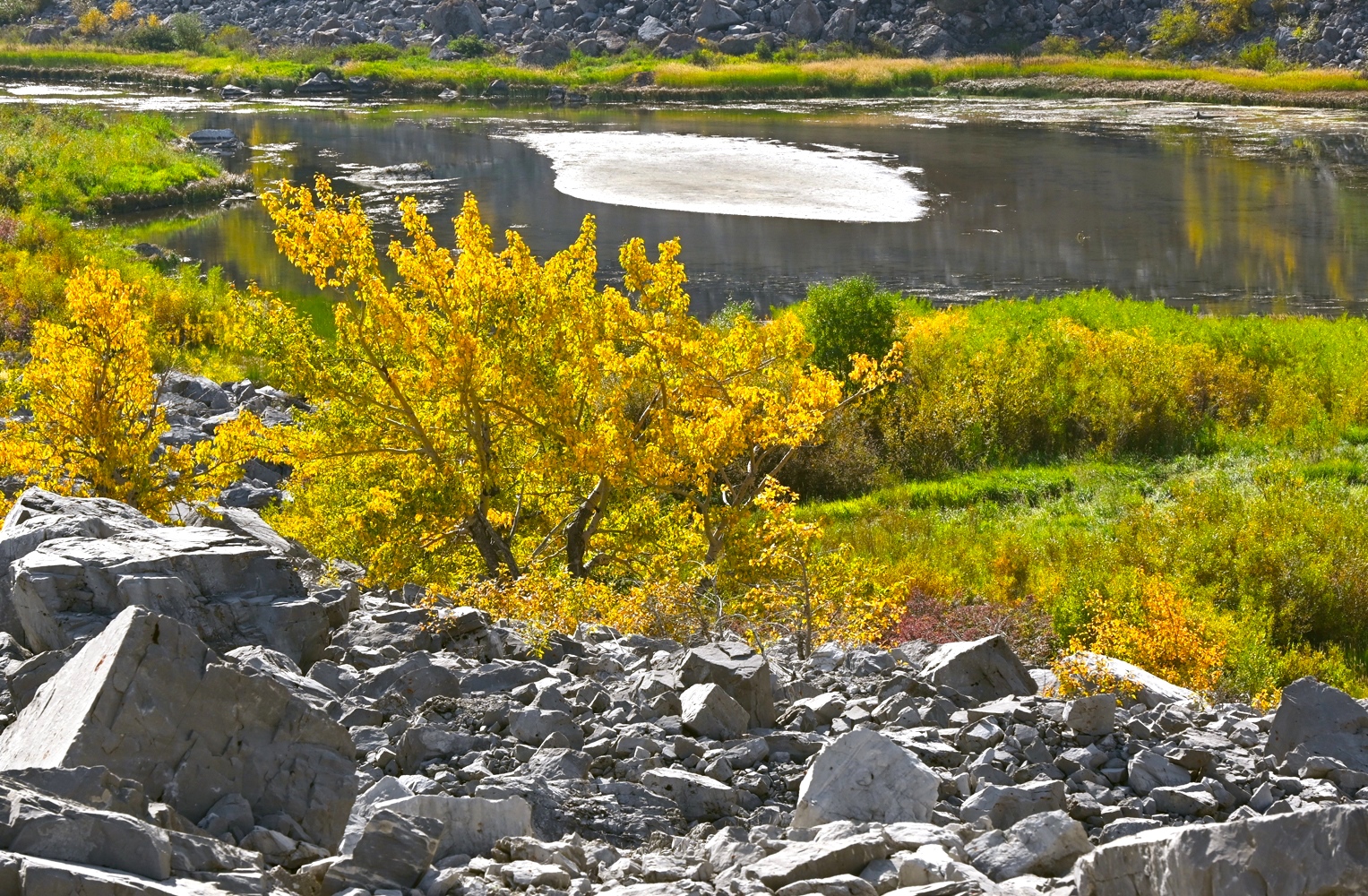 DSC_0736A.jpg