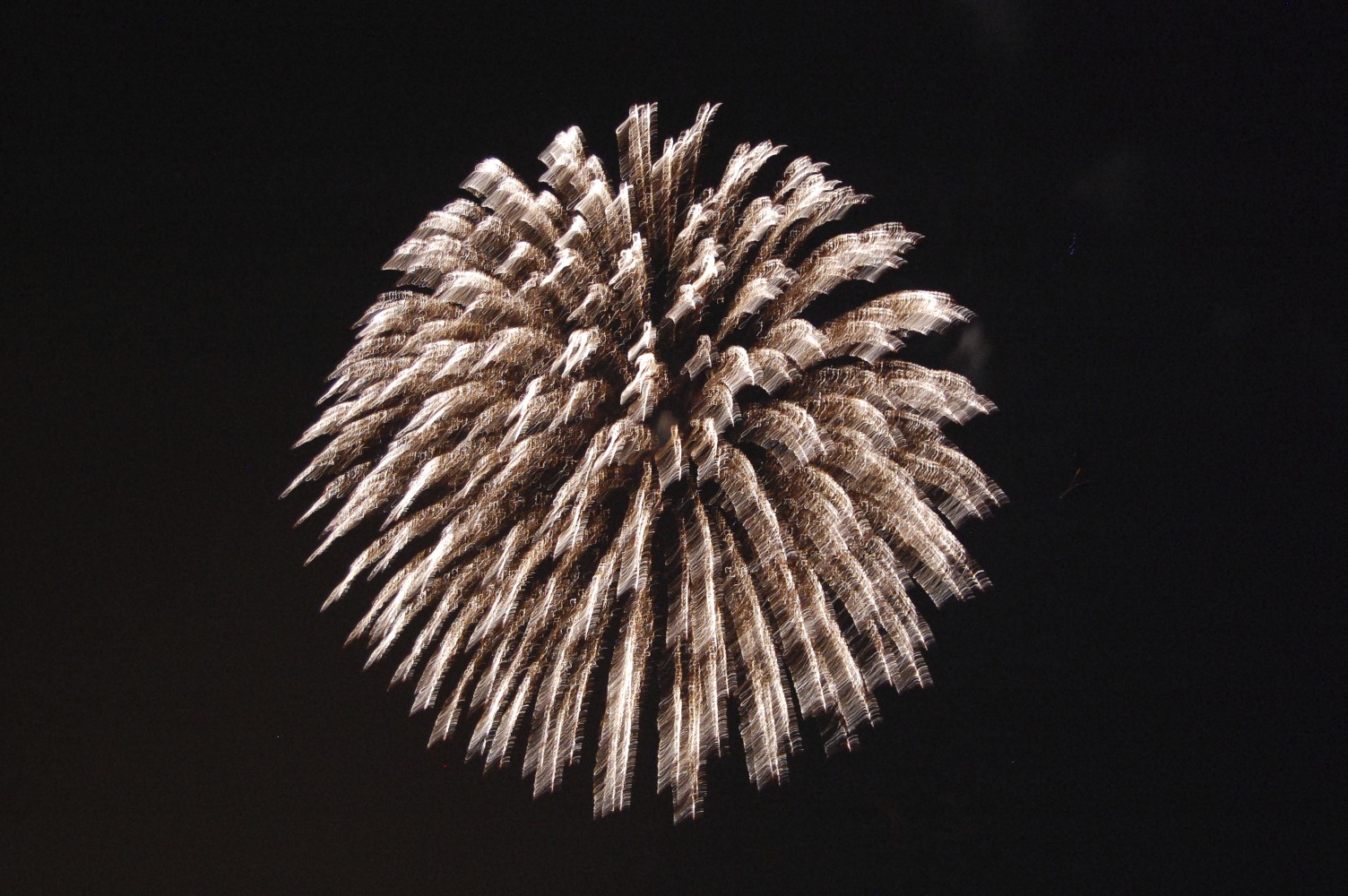 DSC_0920.jpg