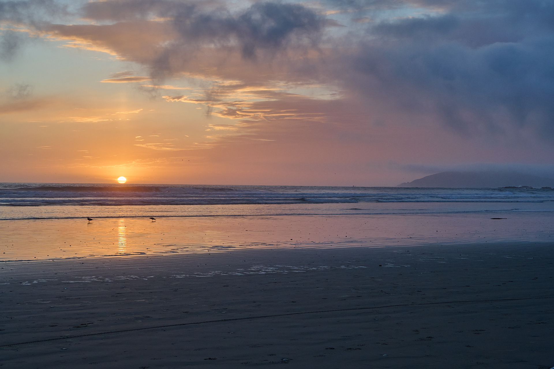 DSC_1065.jpg