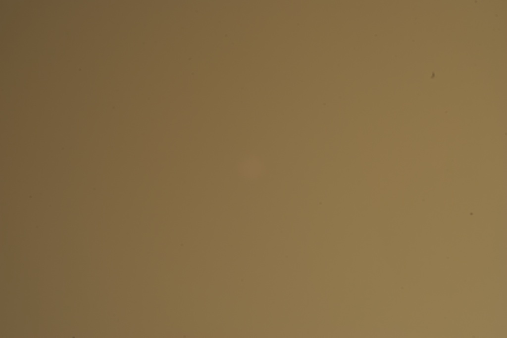 DSC_1225.jpg
