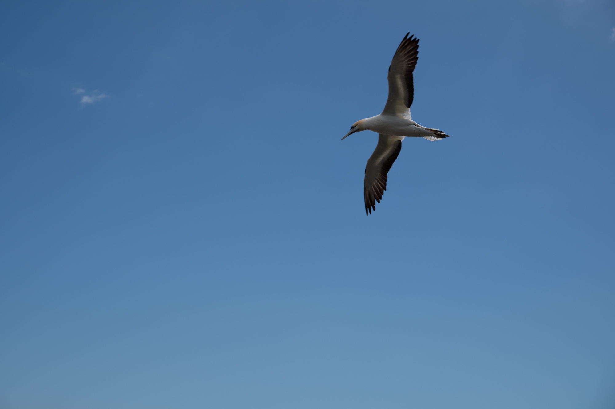 DSC_1326.jpeg