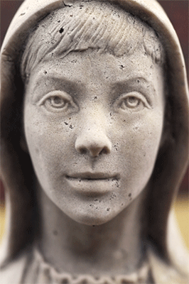 dsc_1715_opt.gif