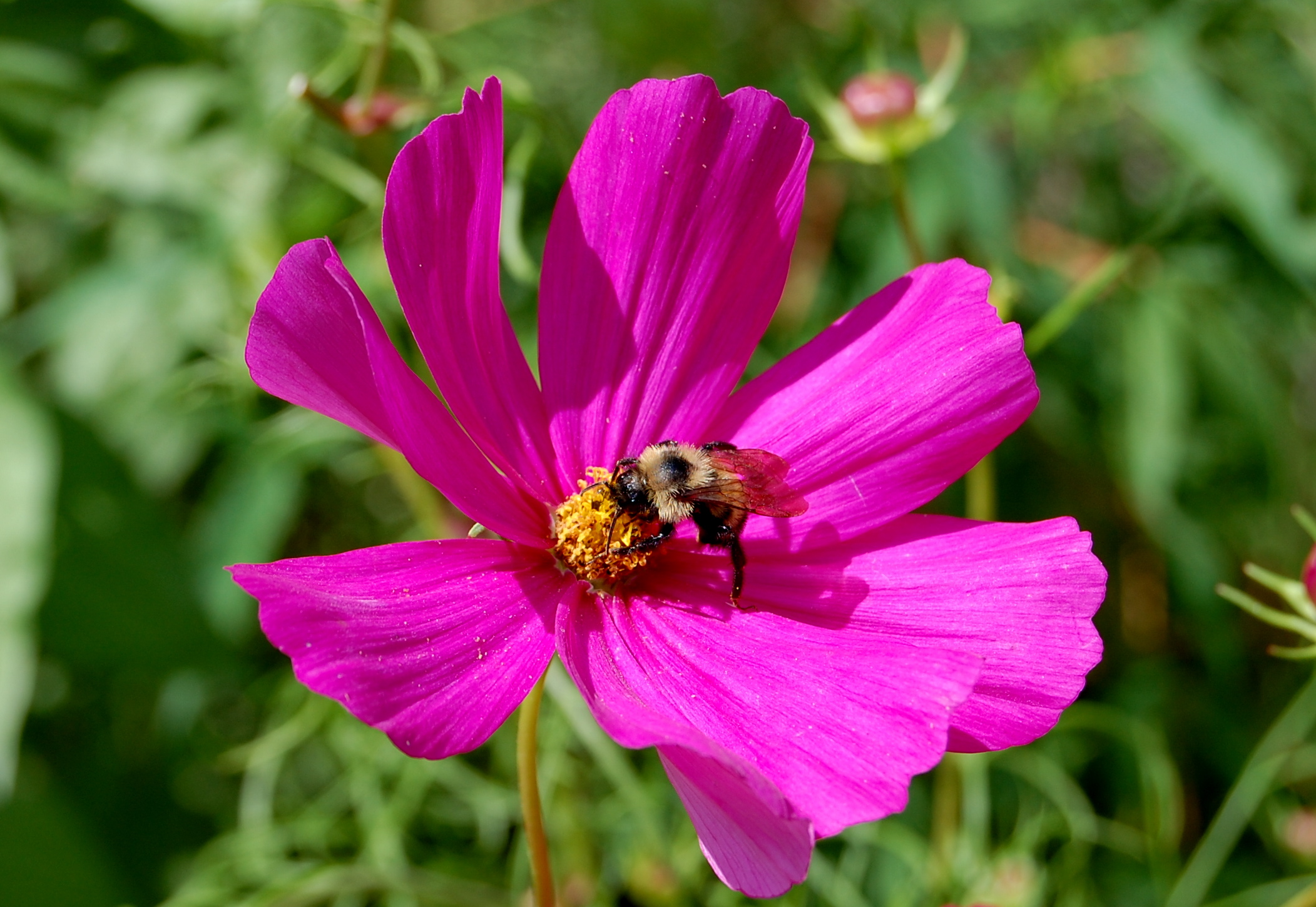 DSC_1784.JPG