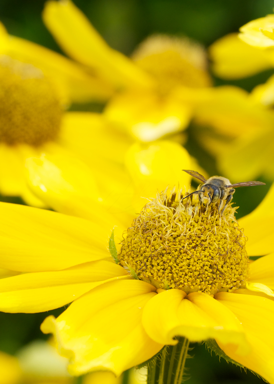 DSC_4762 - Version 2 (1).jpg