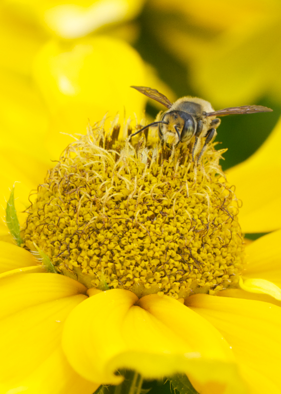 DSC_4762 - Version 2 (2).jpg