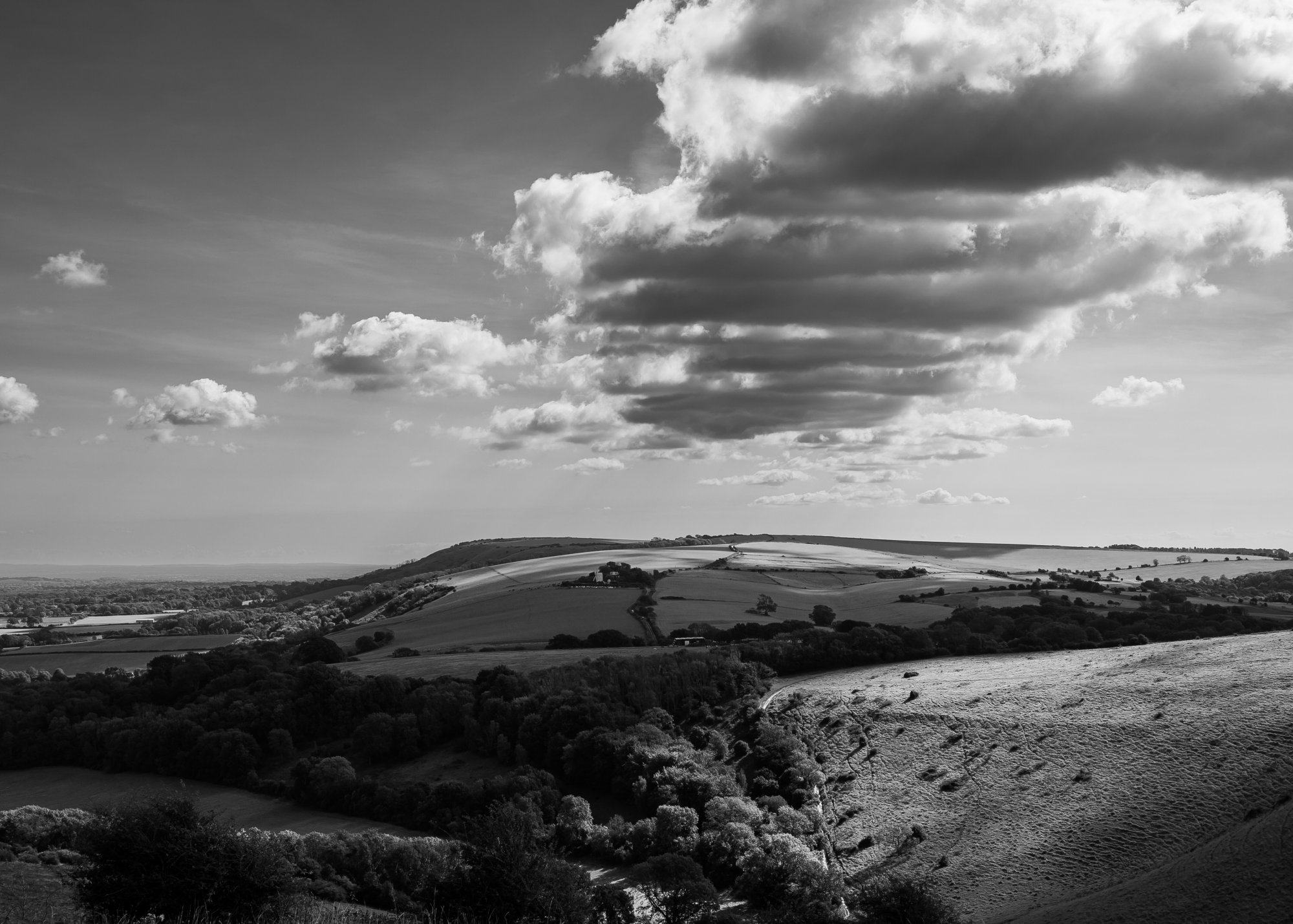 DSC_5164.jpg