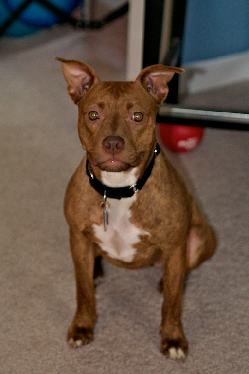 DSC_5539.jpg