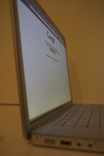 DSC_5557.jpg
