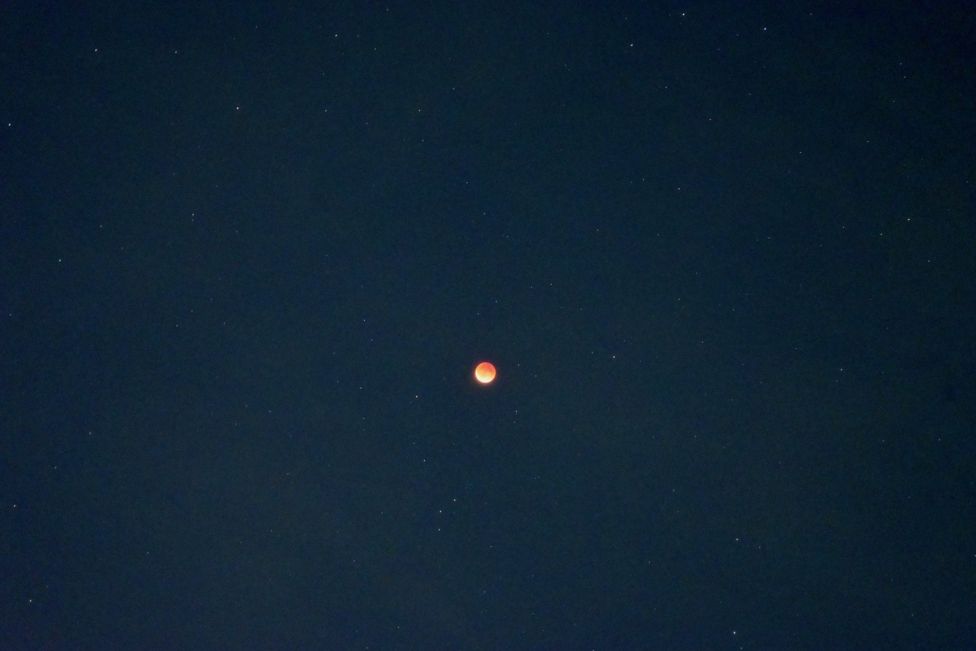 DSC_6956.jpeg