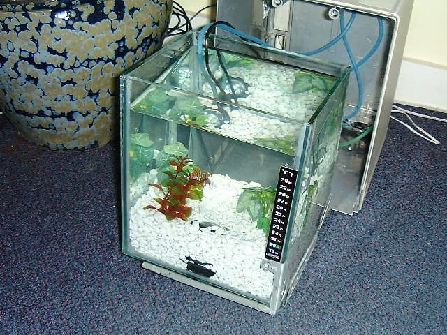 DSCF0018.JPG