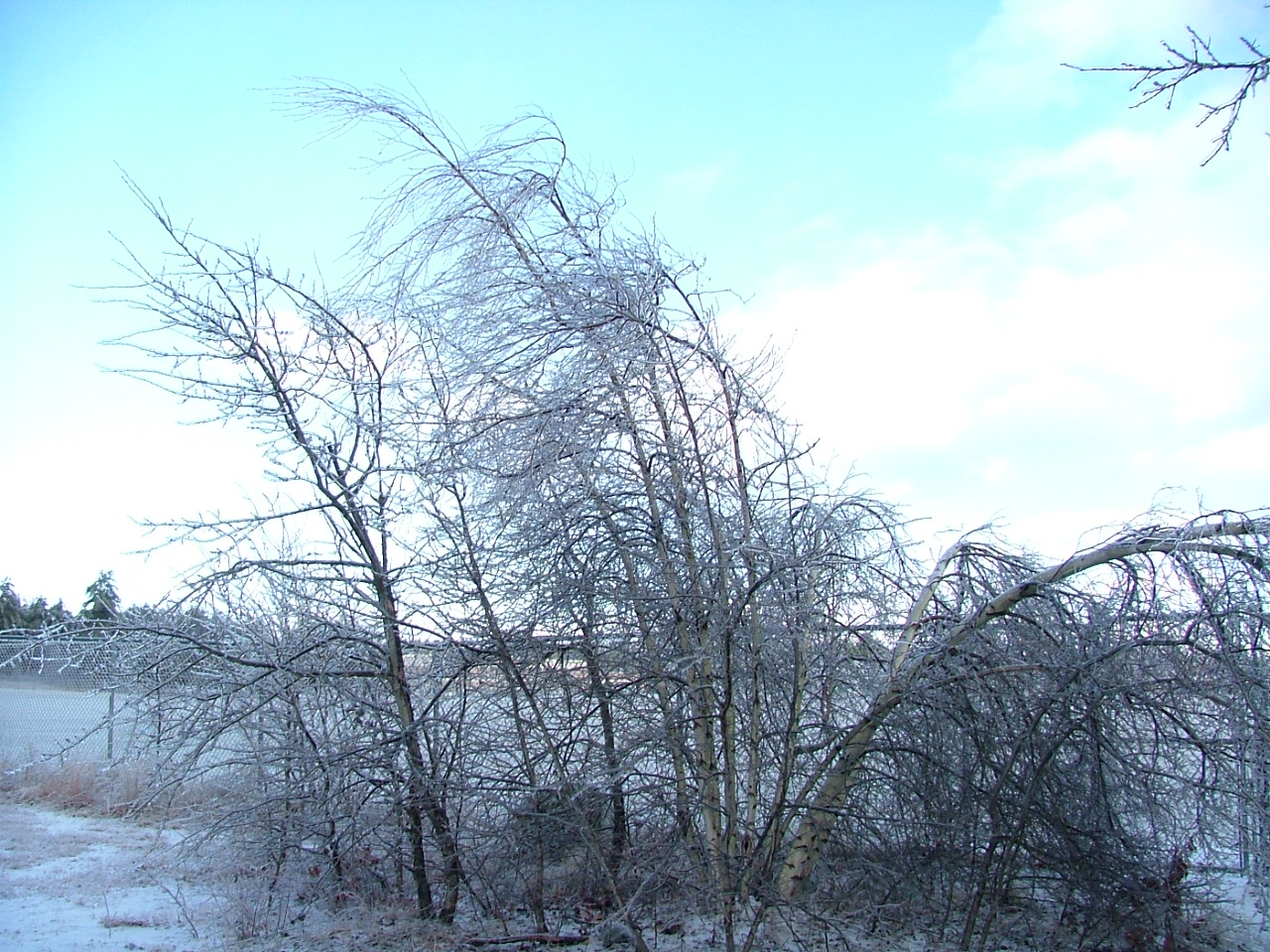 DSCF0573.JPG