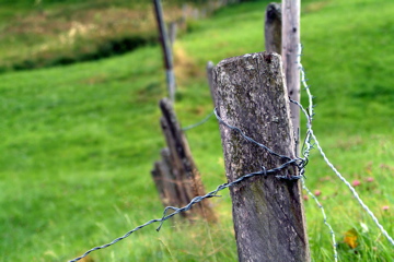 DSCF0681.jpg