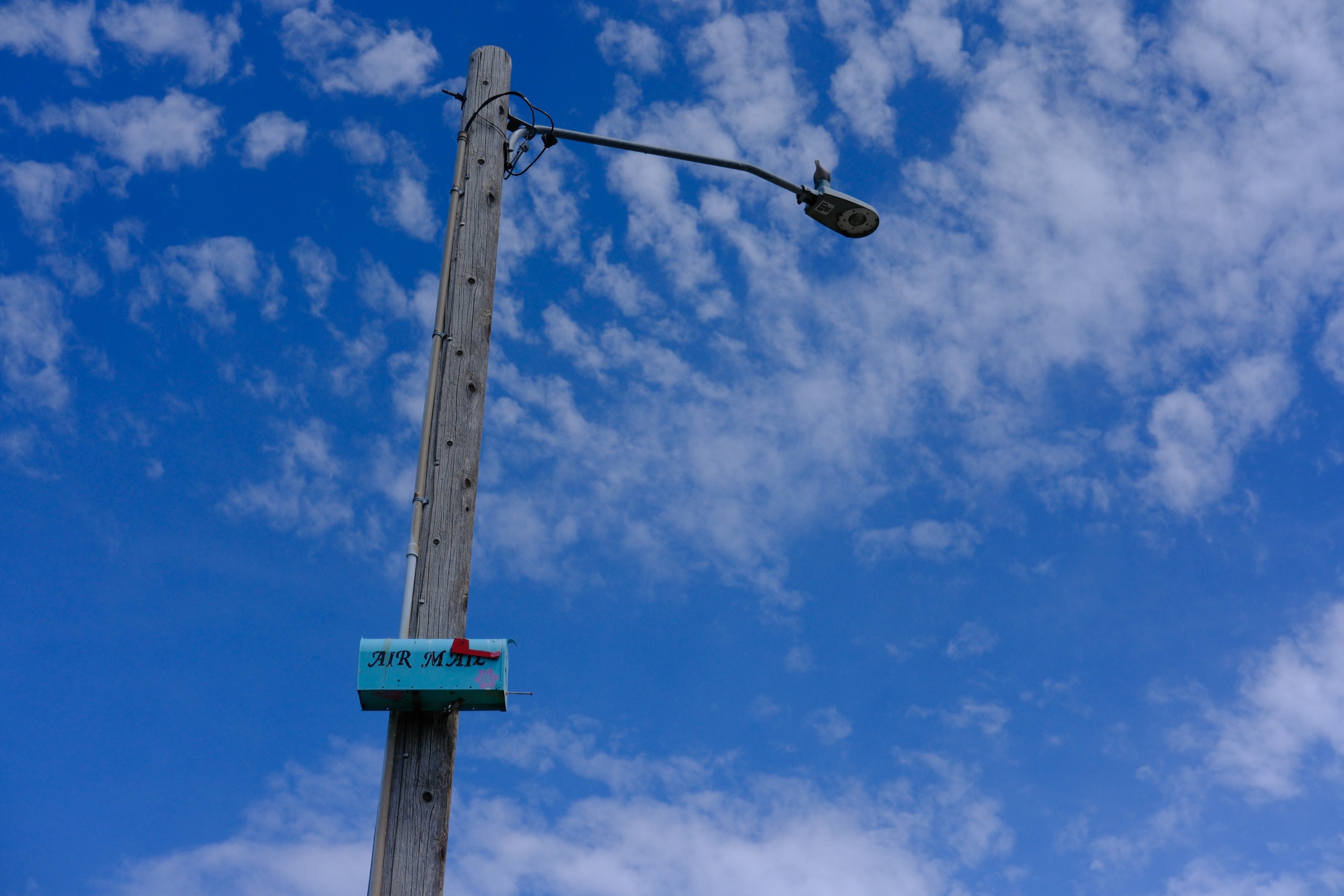 DSCF0785.jpg