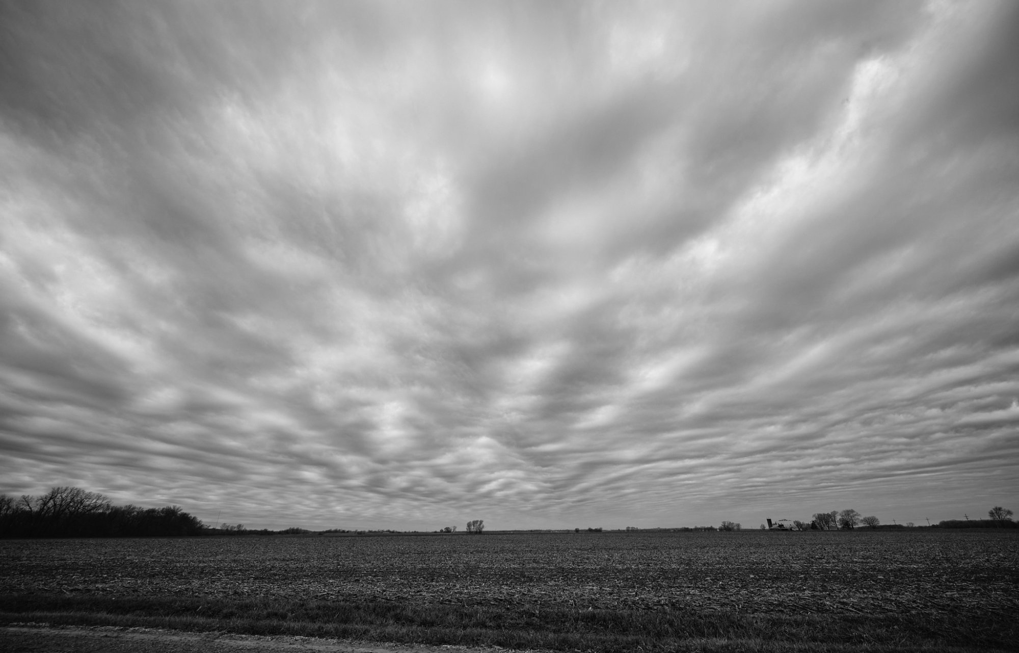 DSCF0883.jpg