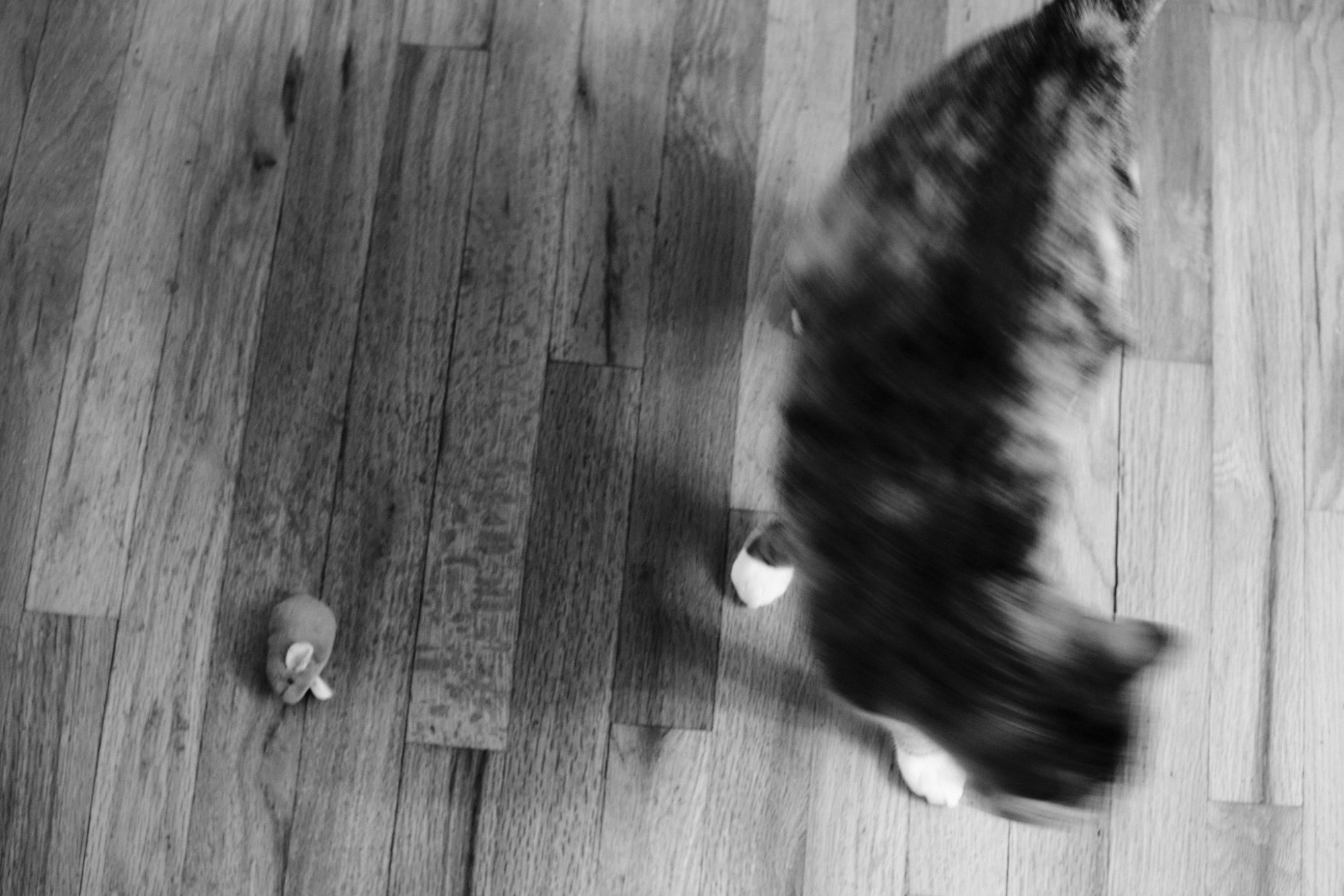 DSCF0917.jpg